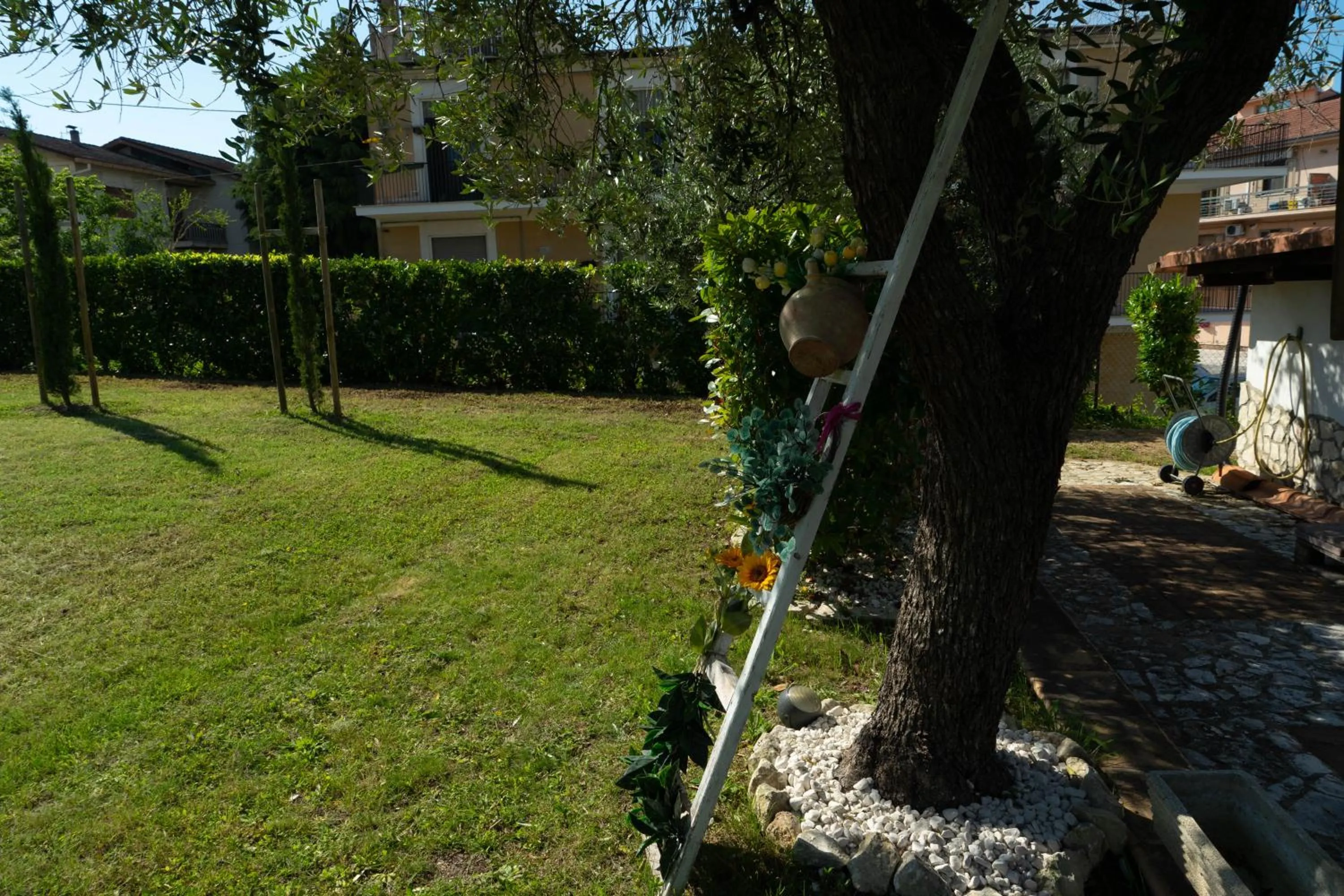 Garden in Bed & Breakfast Mafi