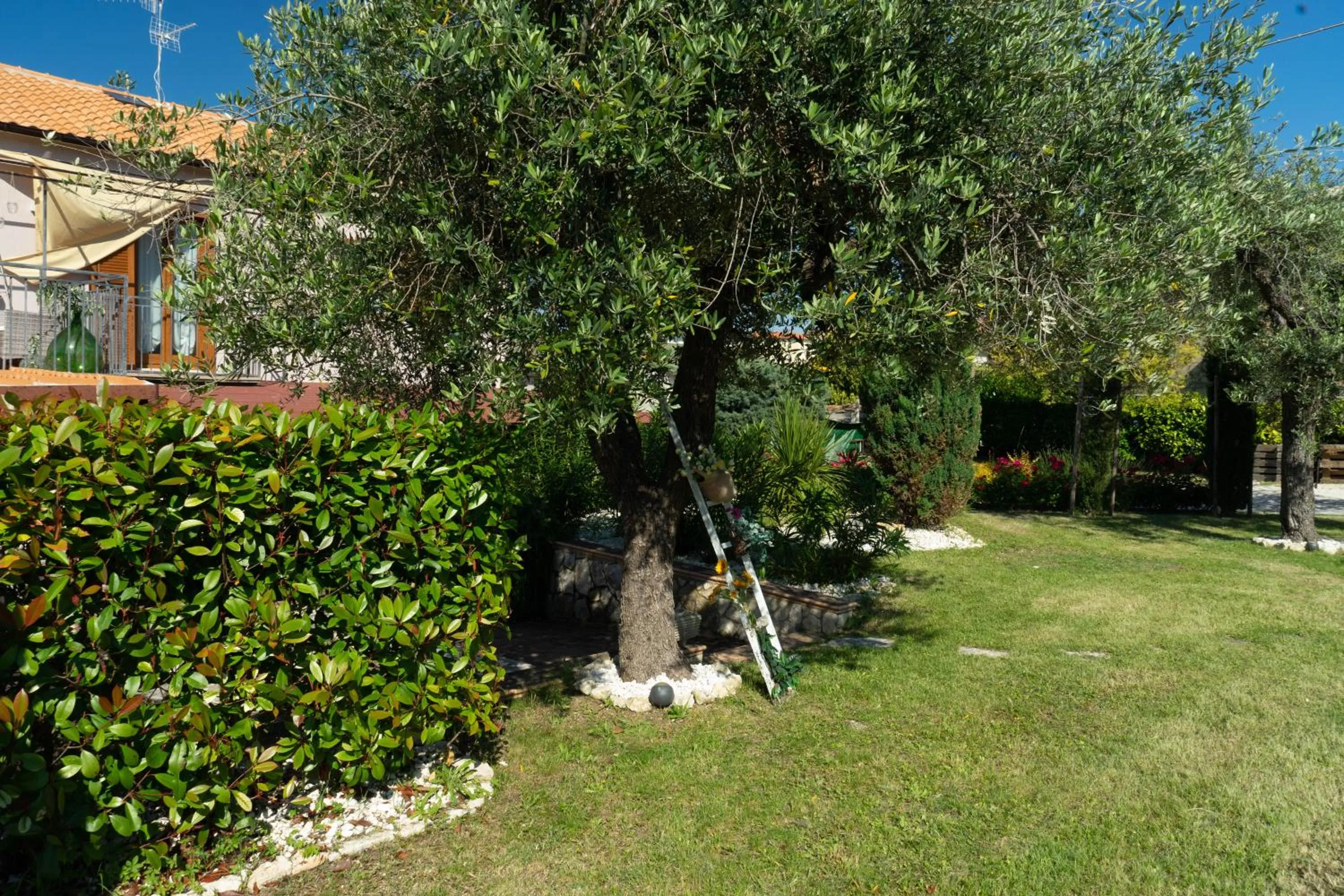 Garden in Bed & Breakfast Mafi