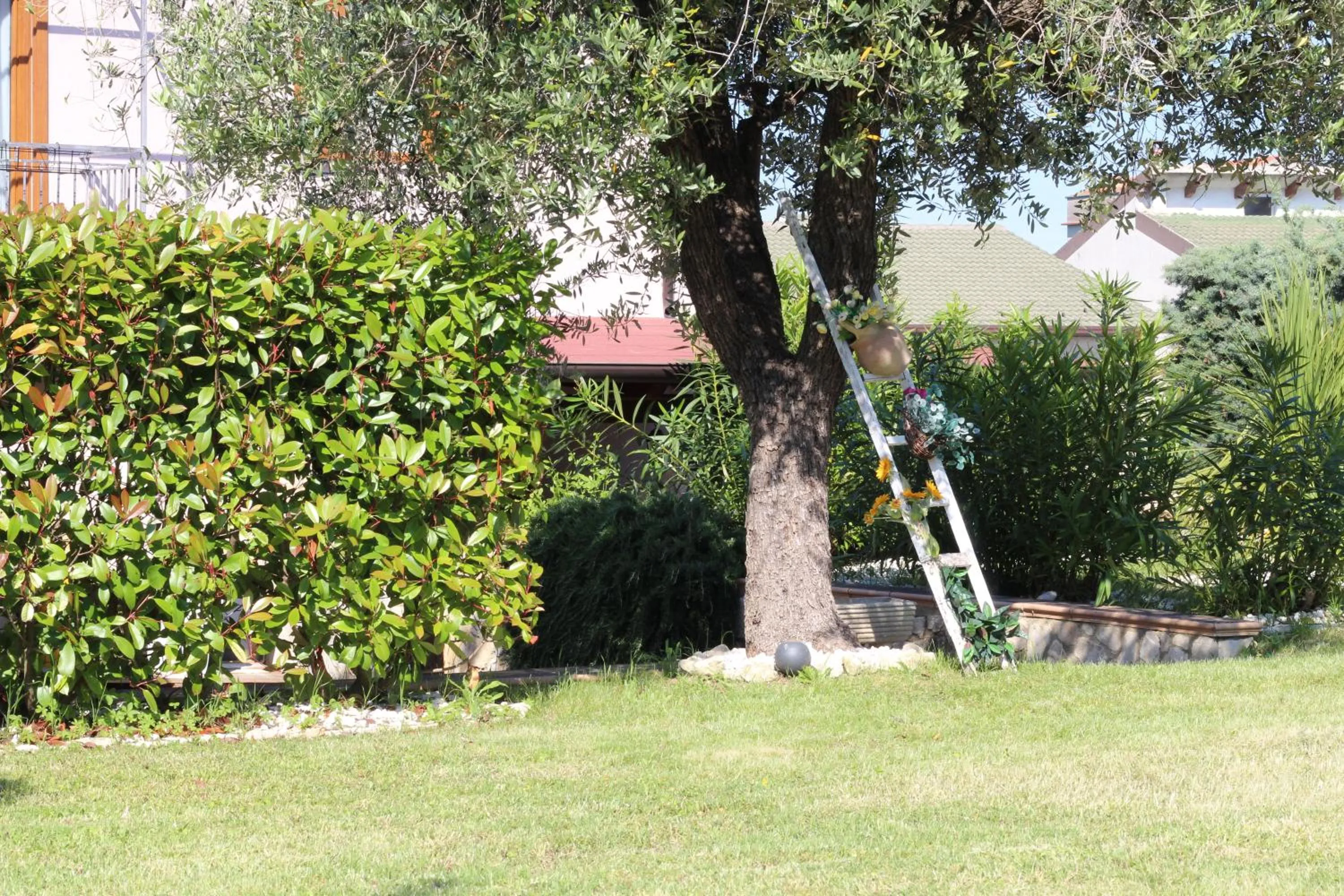 Garden in Bed & Breakfast Mafi
