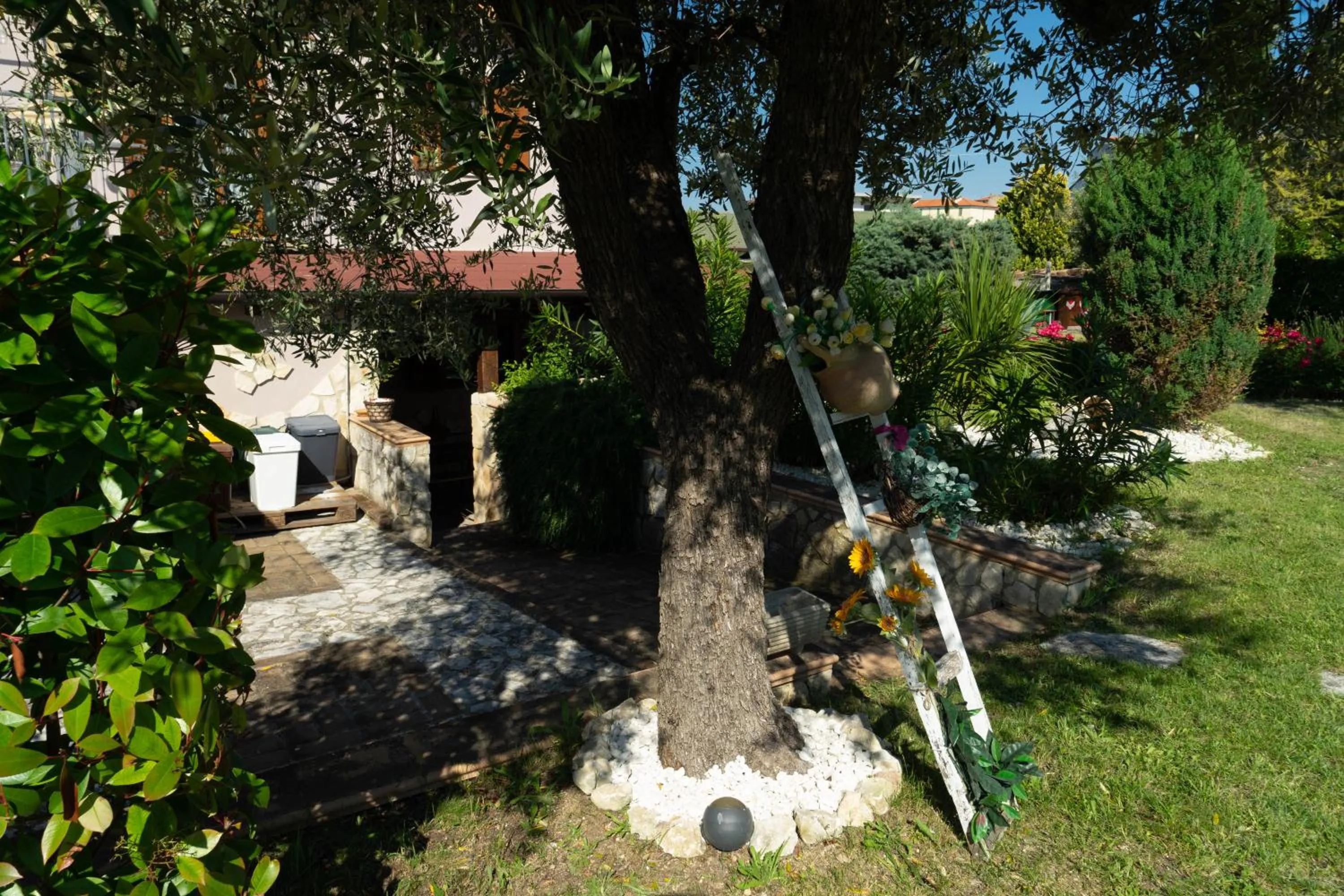 Garden in Bed & Breakfast Mafi