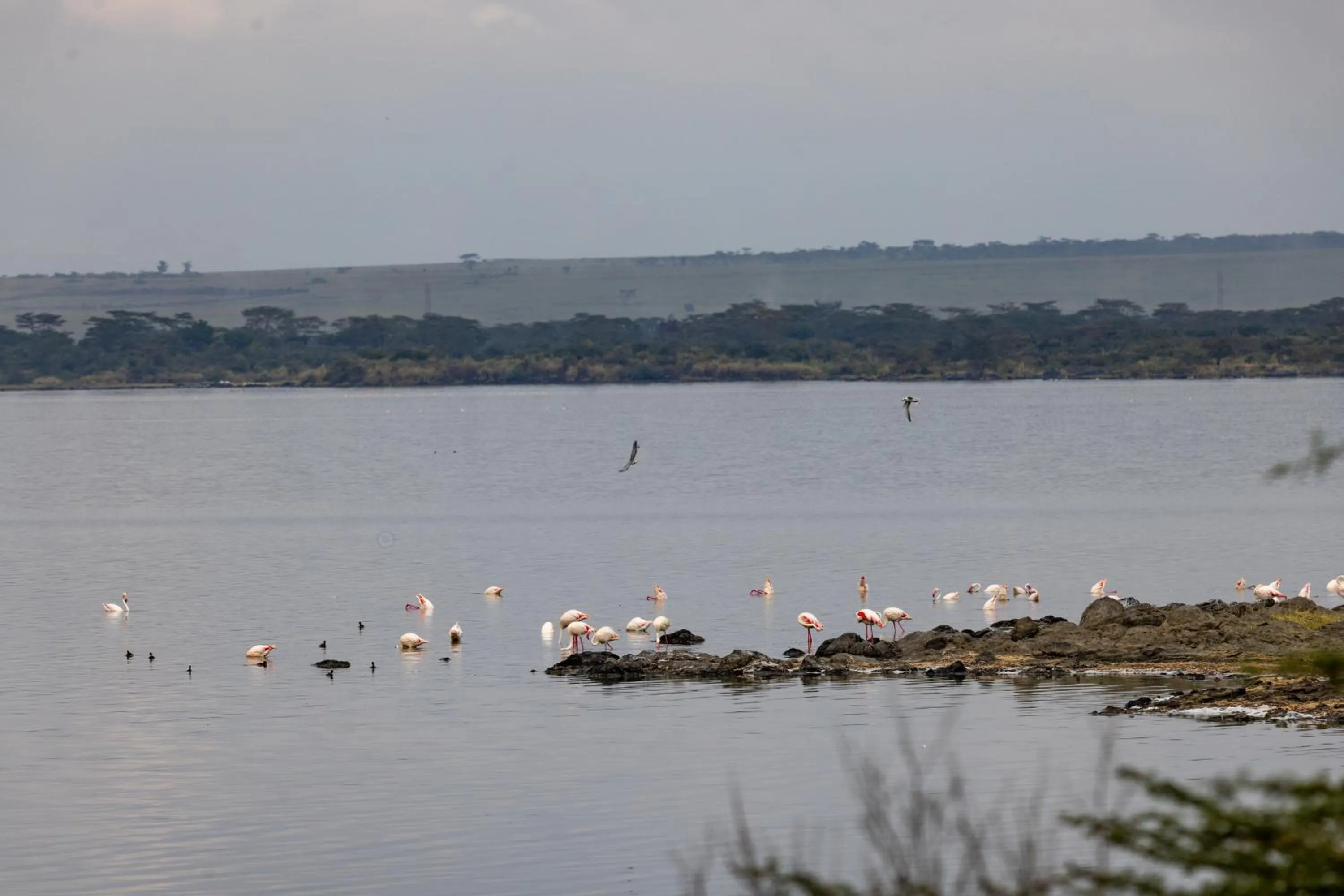 Natural landscape in Sentrim Elementaita Lodge