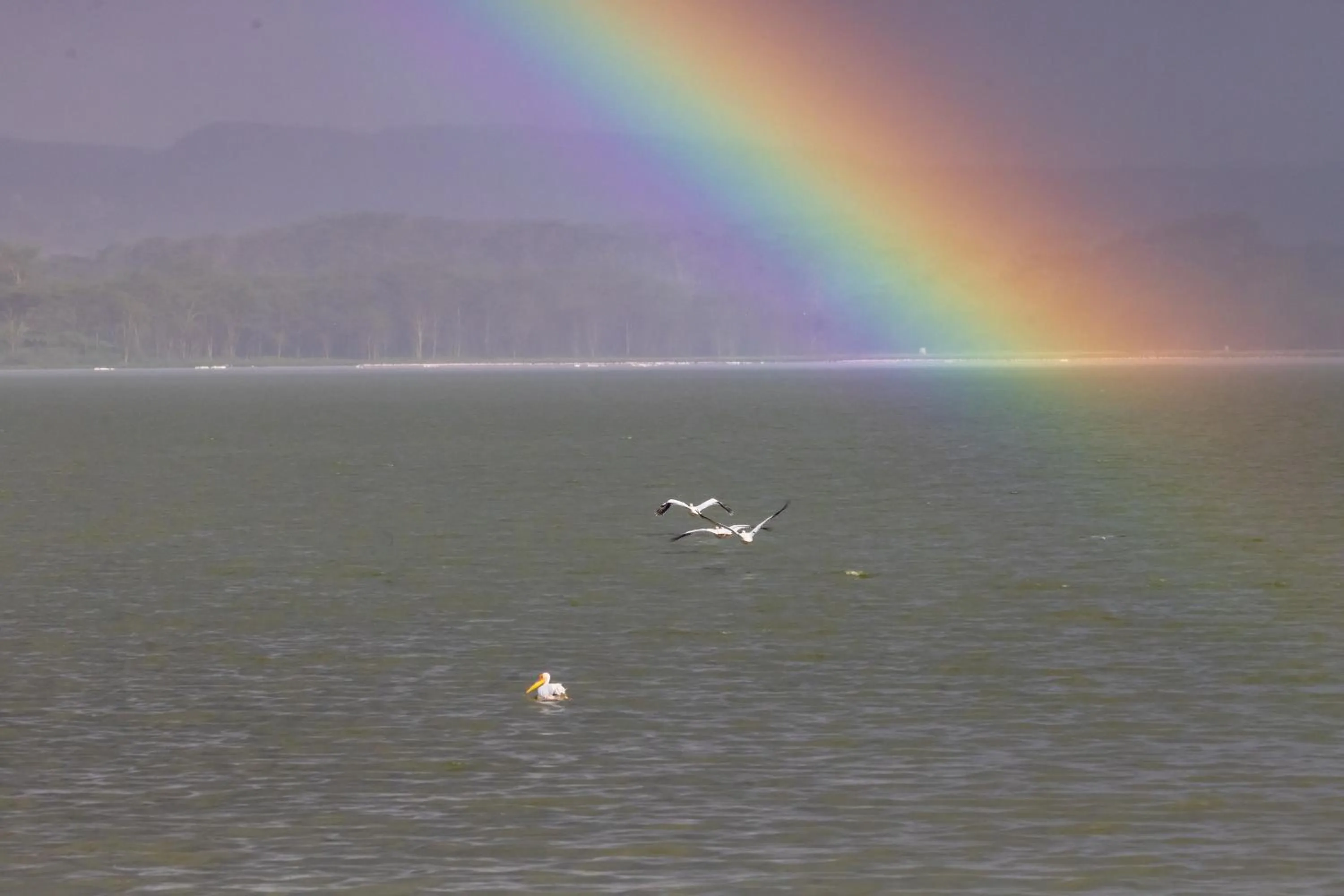 Natural landscape in Sentrim Elementaita Lodge