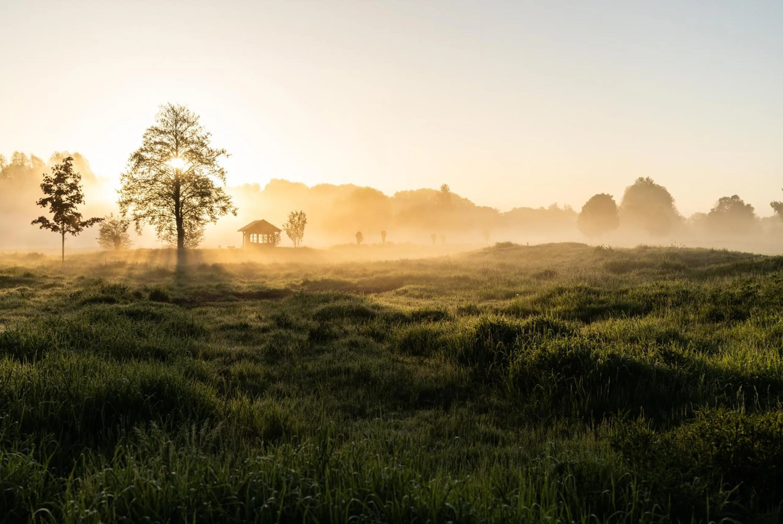 Natural landscape in Hotel Gut Kaden
