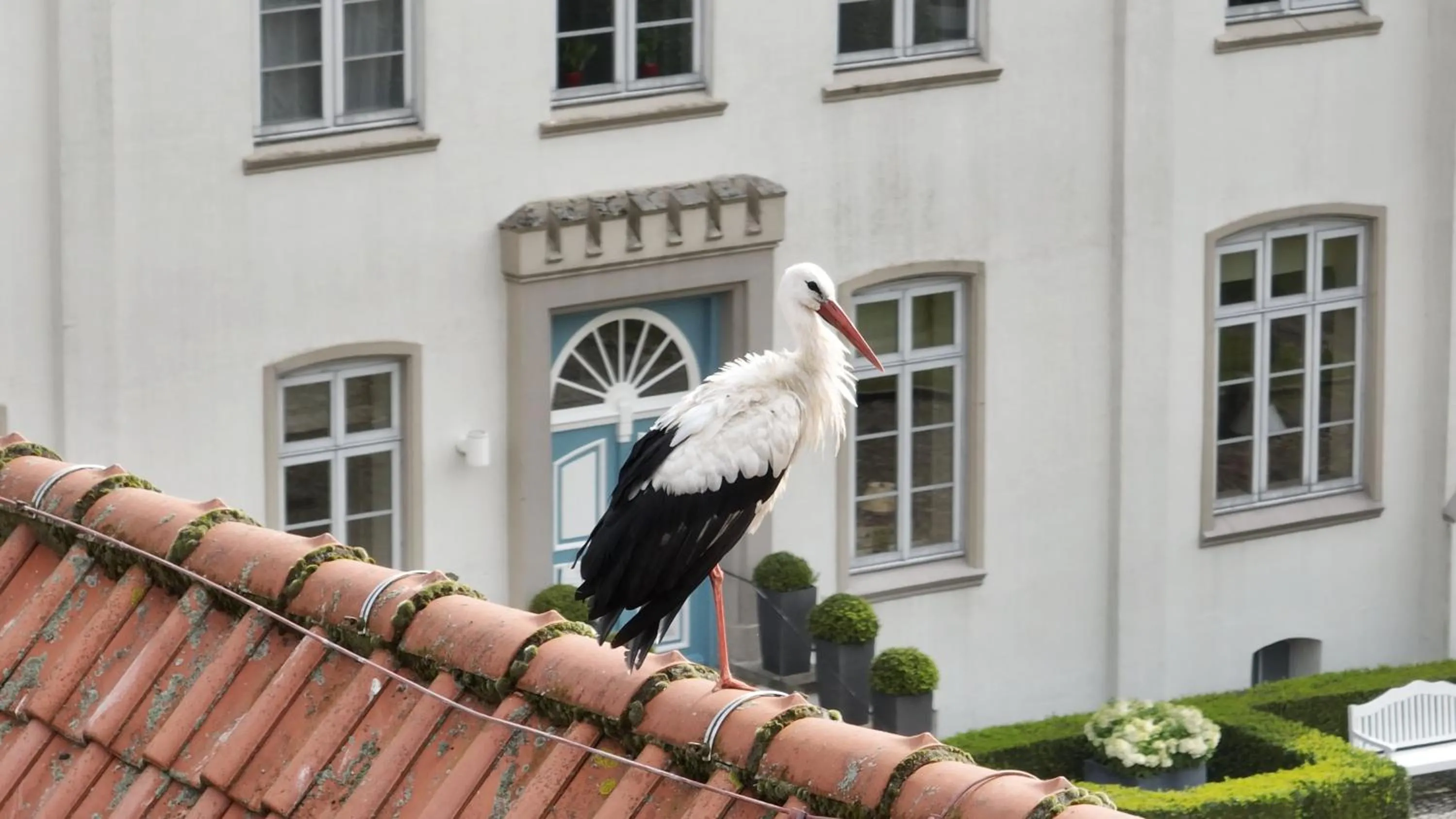Property building in Hotel Gut Kaden