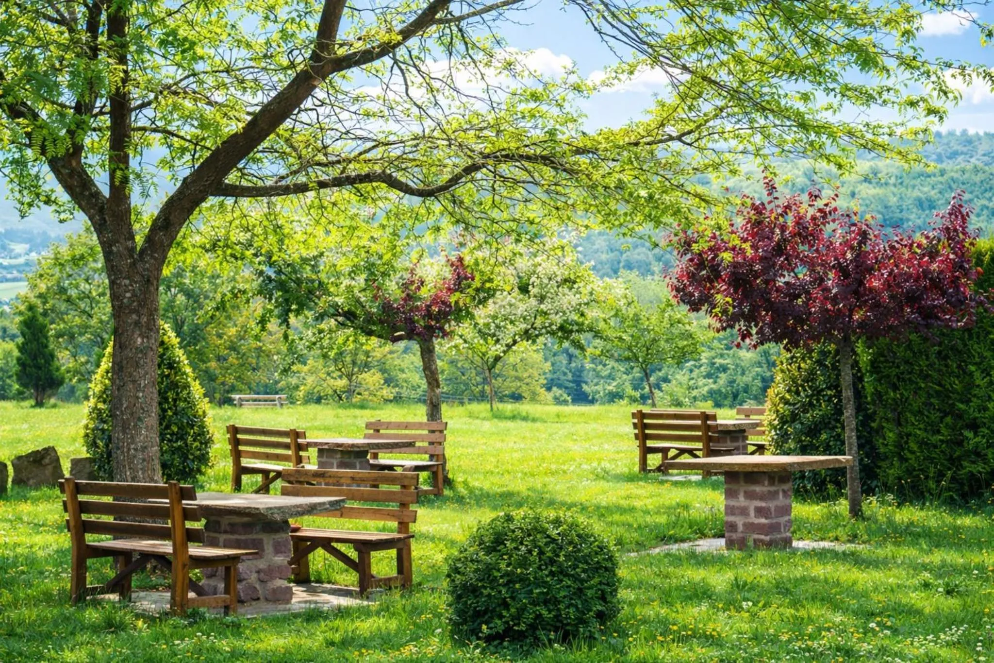 Garden in Hotel Senorio de Ursua