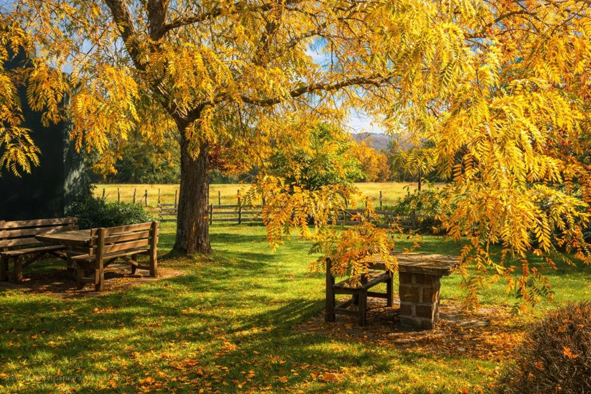 Garden in Hotel Senorio de Ursua