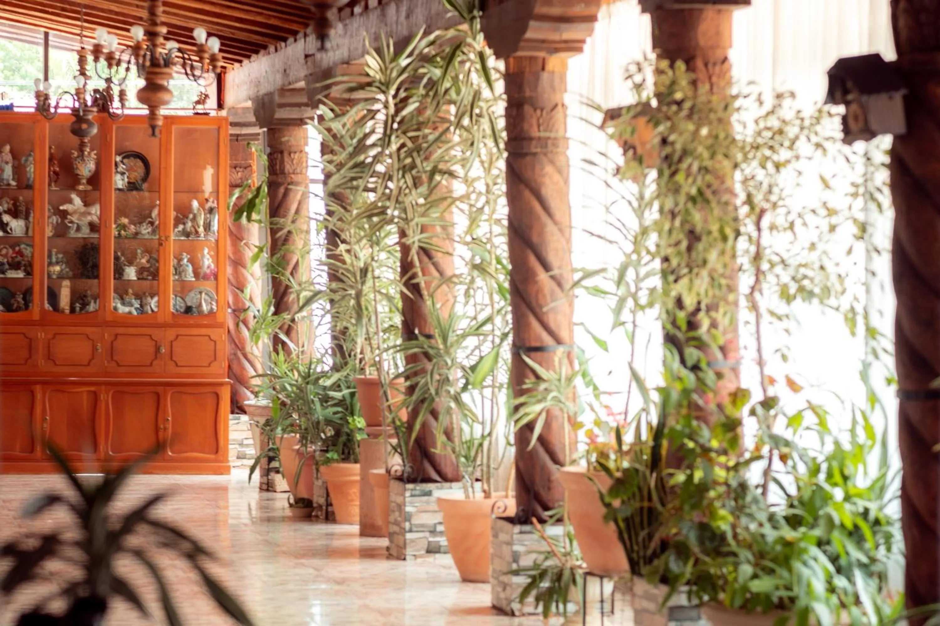 Patio in Hotel Villa Gardenias