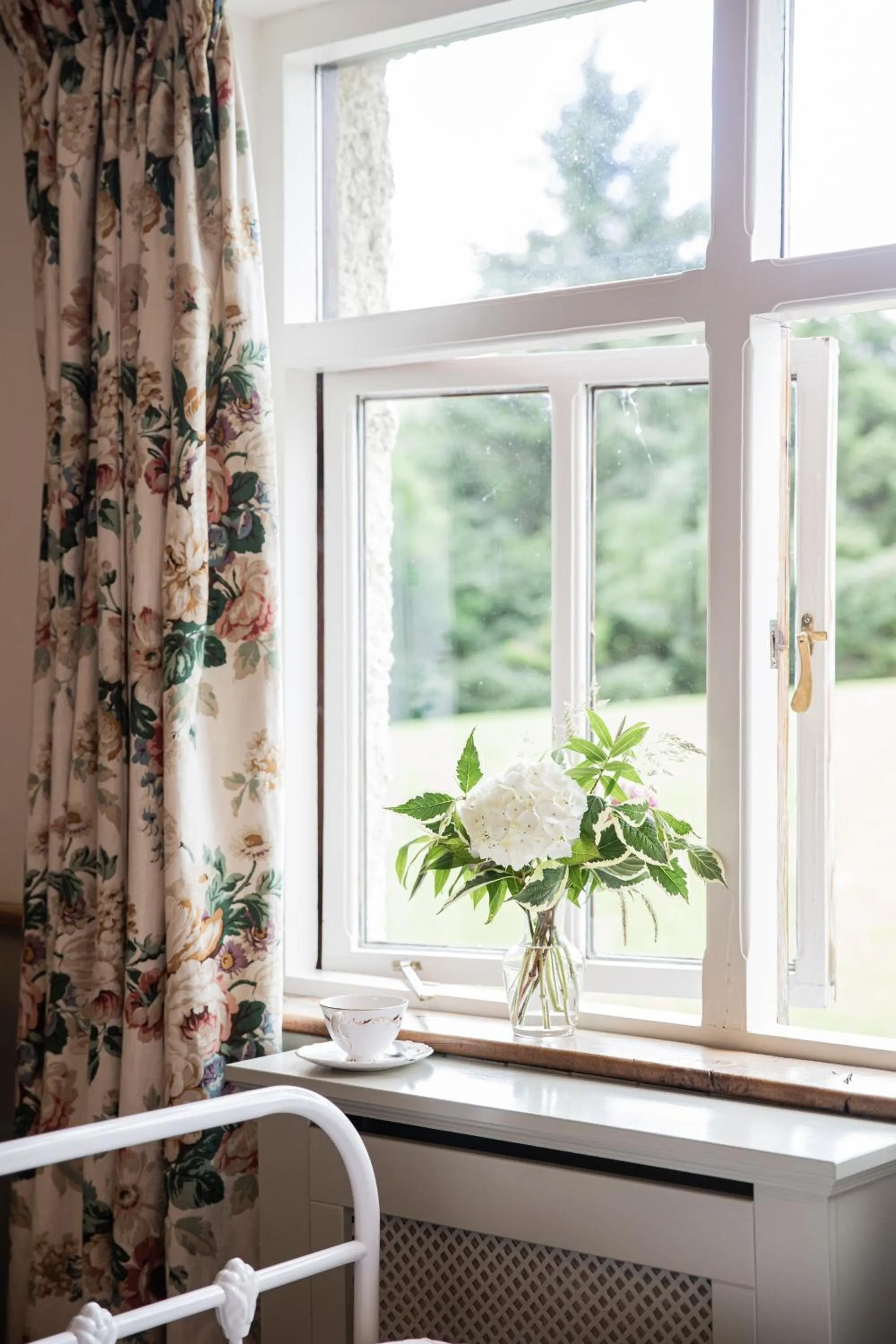 Garden view in Mossie's