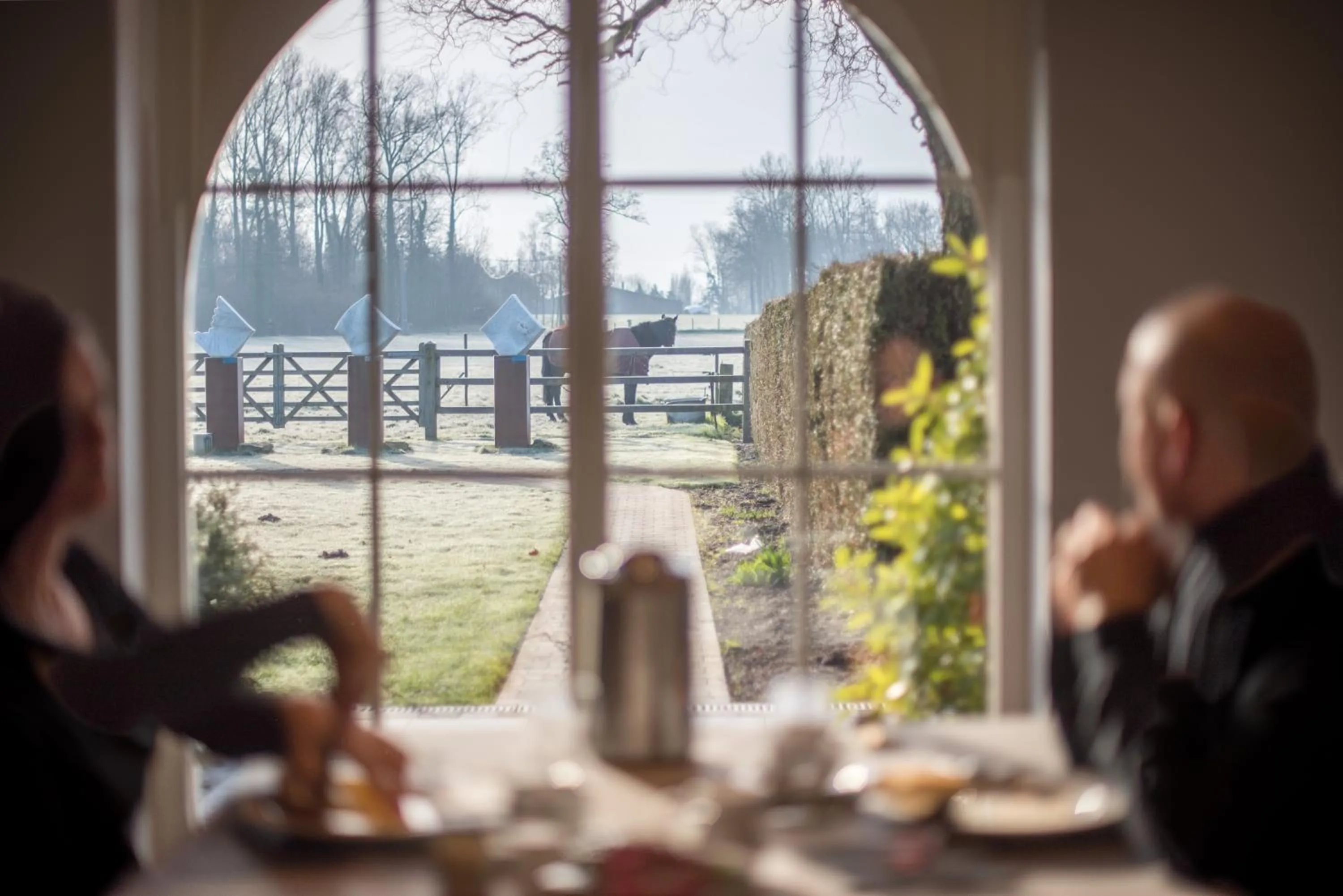 Natural landscape in B&B De Bergvallei