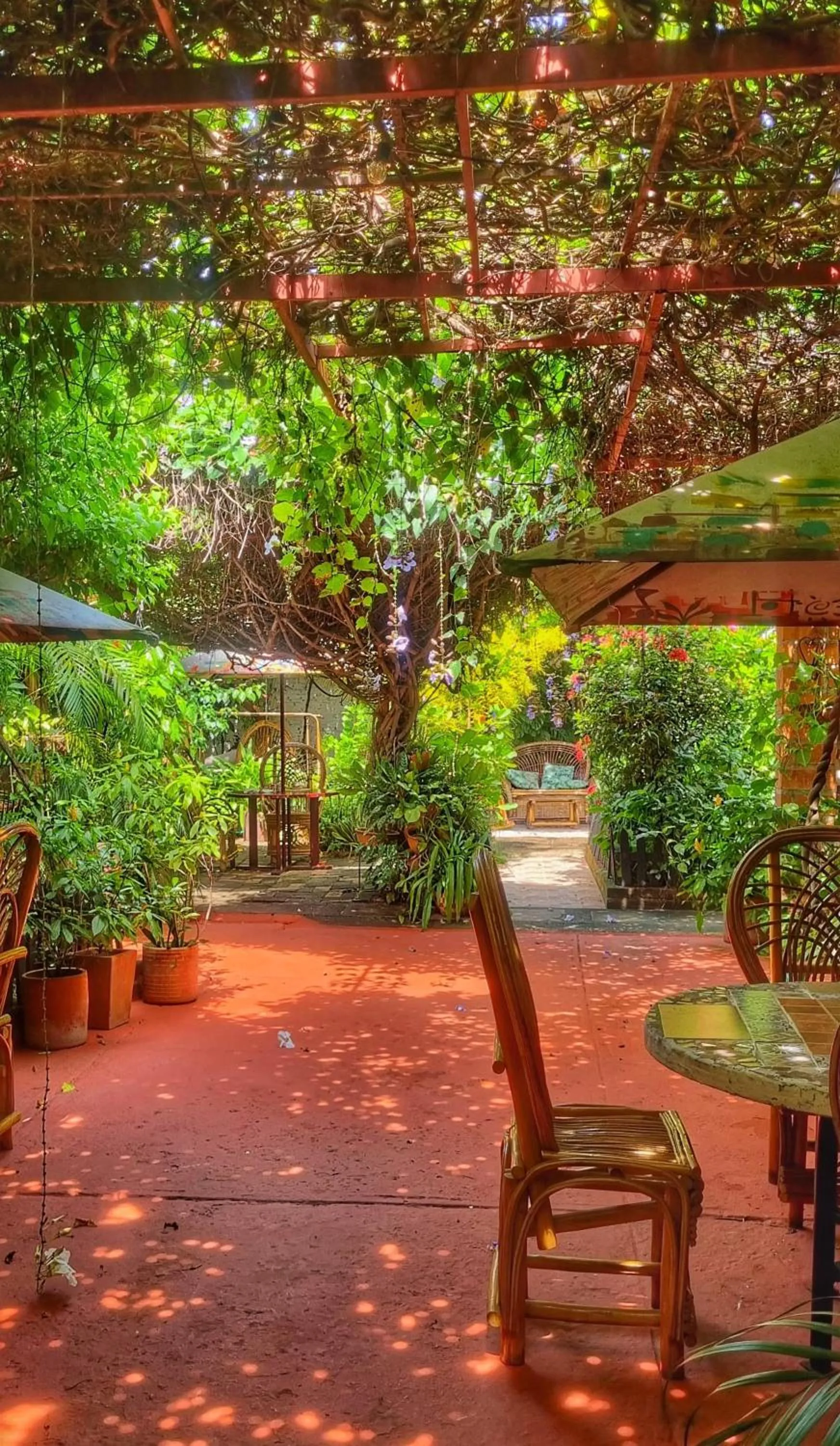 Patio in Hotel Boutique Casa de Los Santos Reyes Valledupar