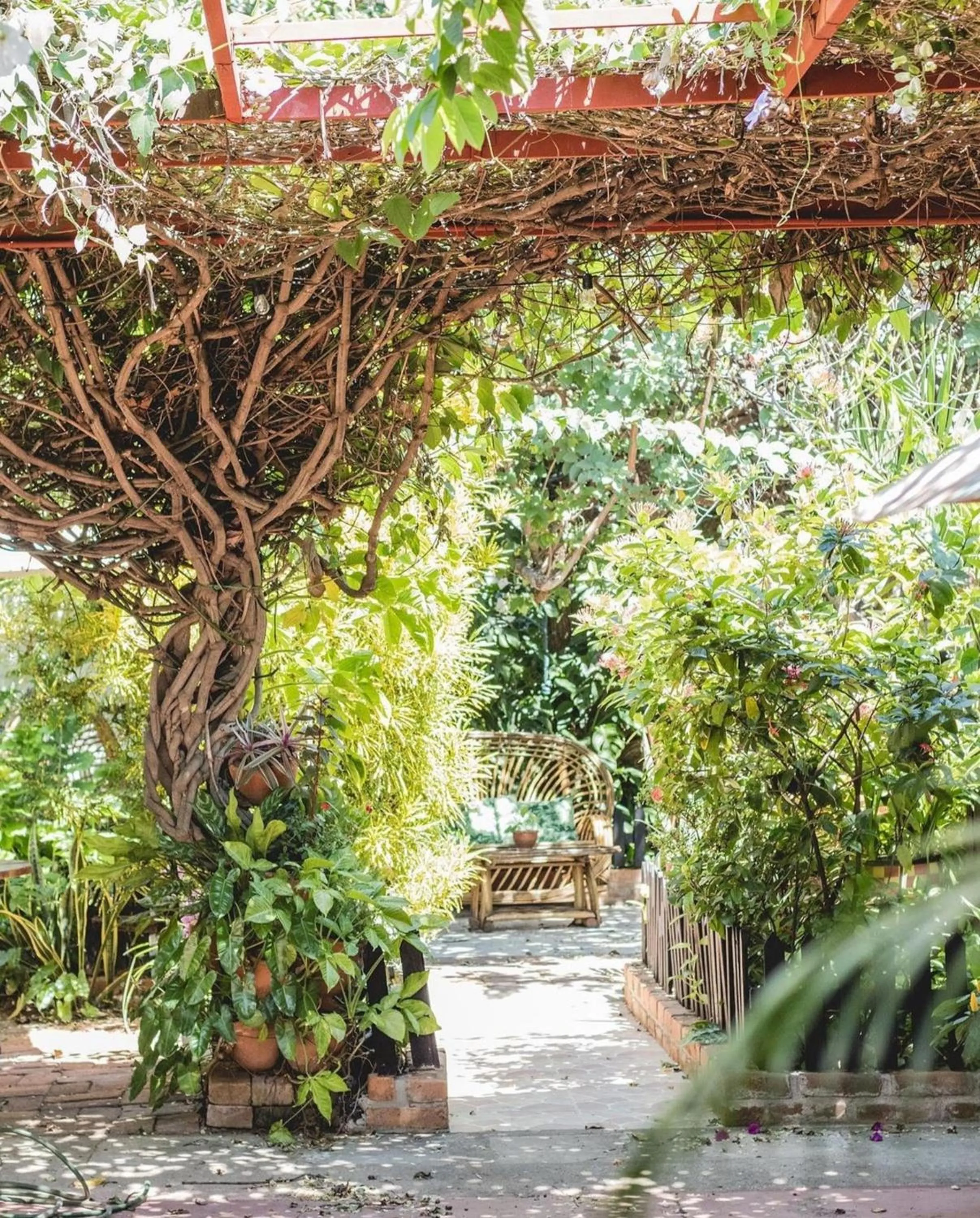 Garden in Hotel Boutique Casa de Los Santos Reyes Valledupar