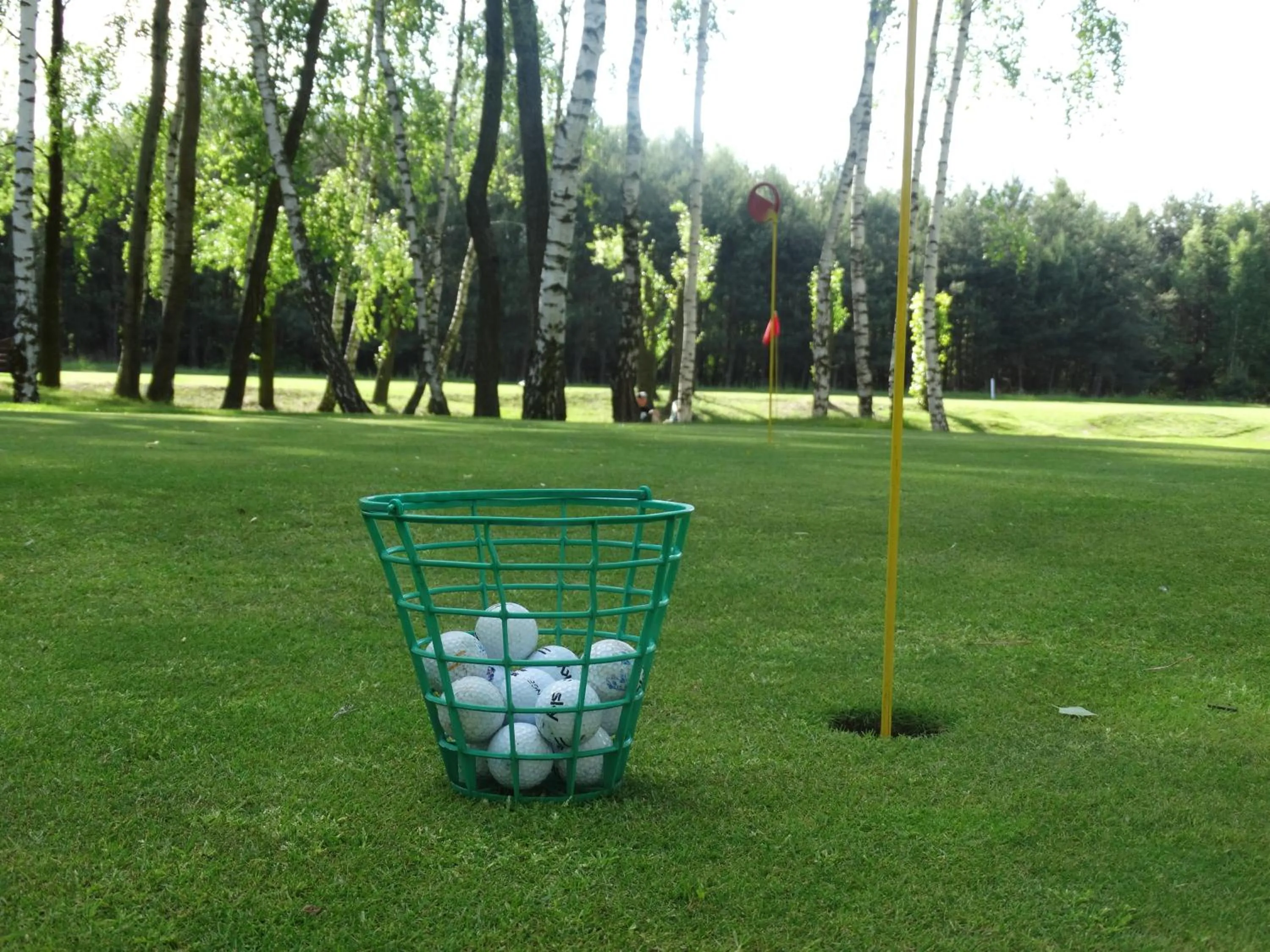 Golfcourse in Hotel Wityng