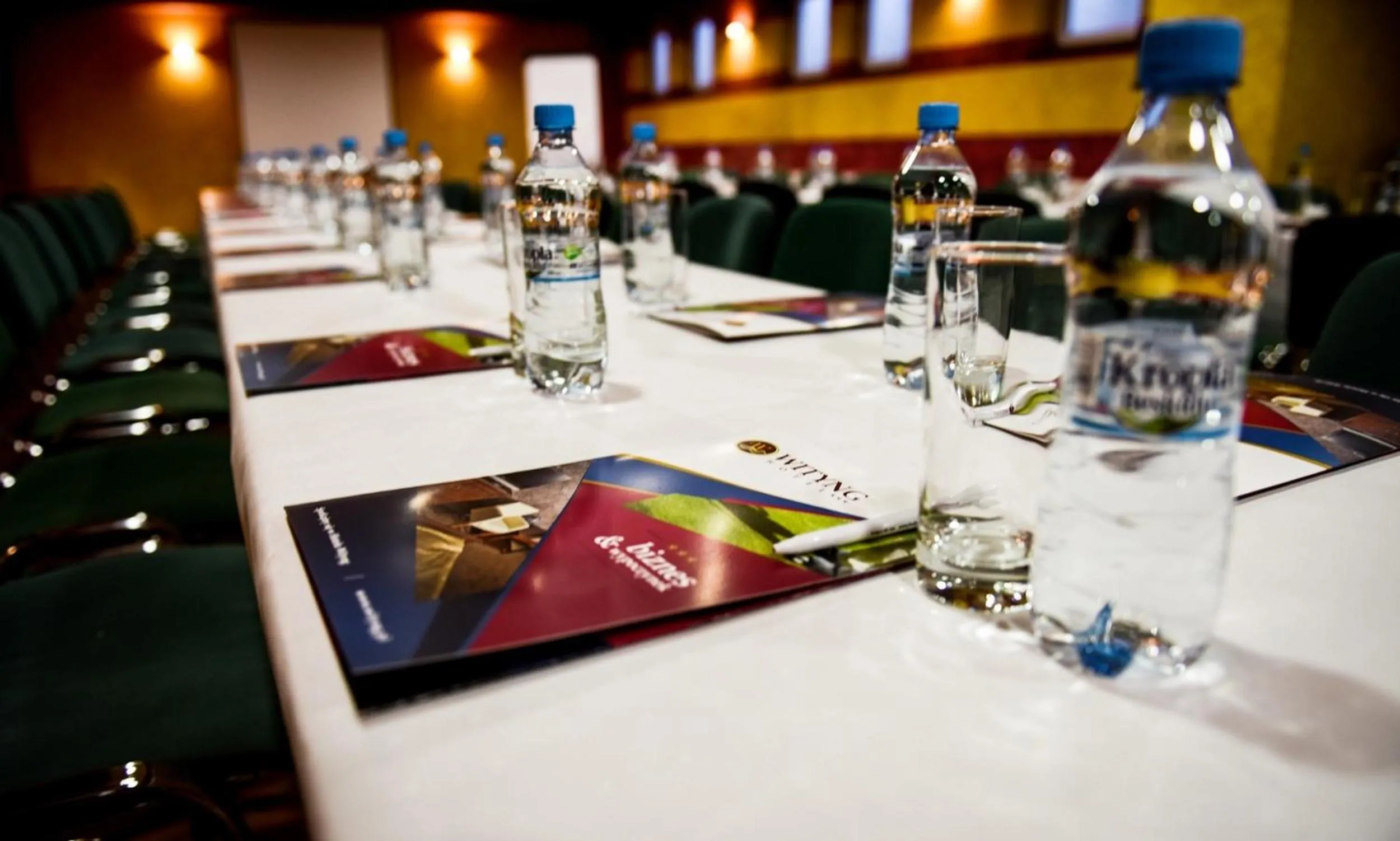 Business facilities in Hotel Wityng