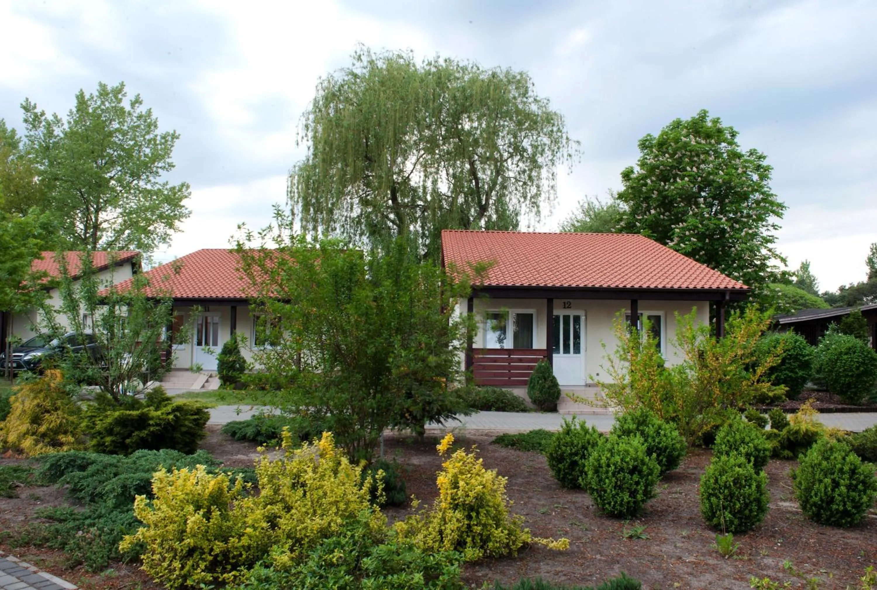 Area and facilities in Hotel Wityng