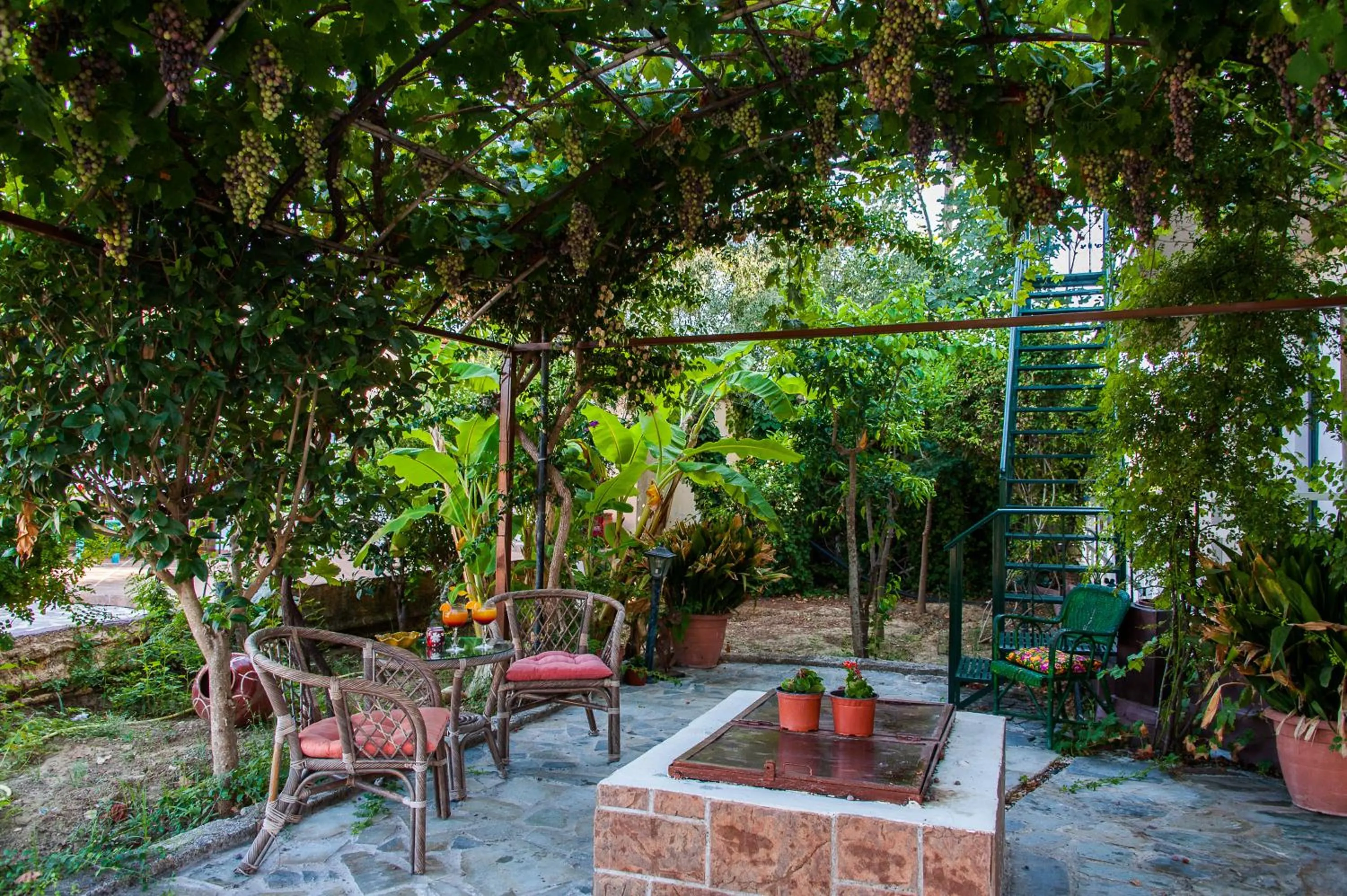 Garden in Zante Nest Studios & Apartments
