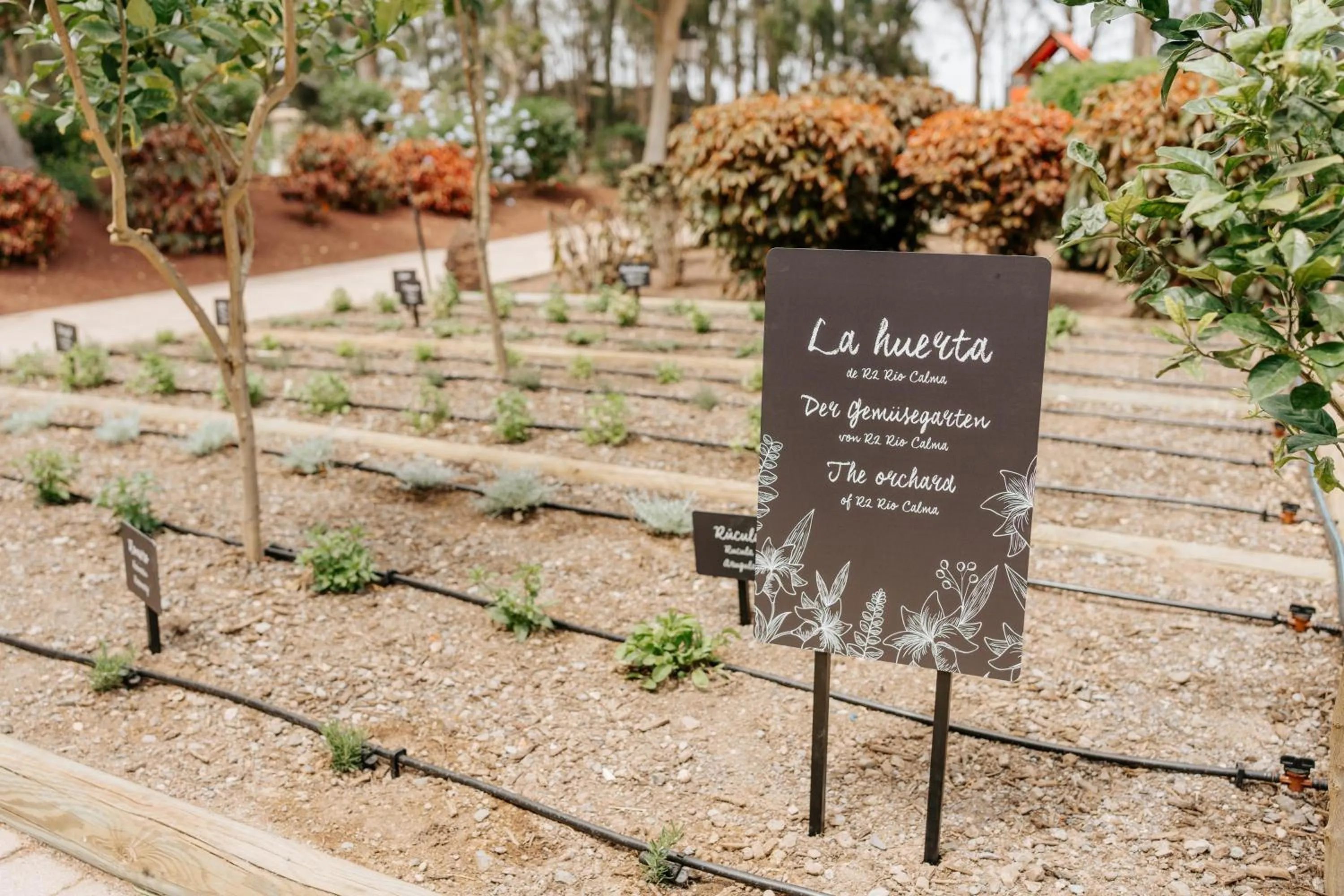 Natural landscape in R2 Rio Calma