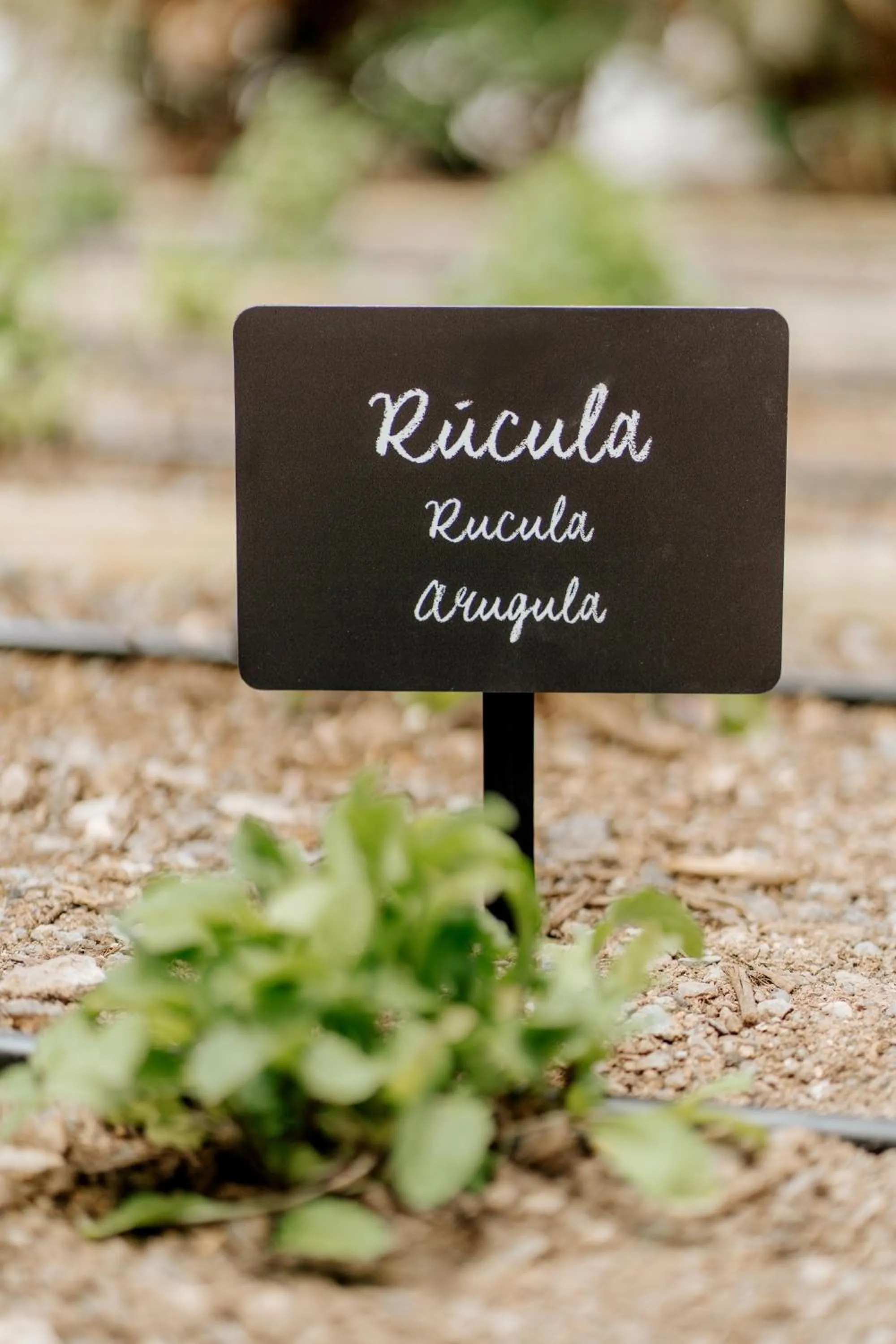 Property building in R2 Rio Calma