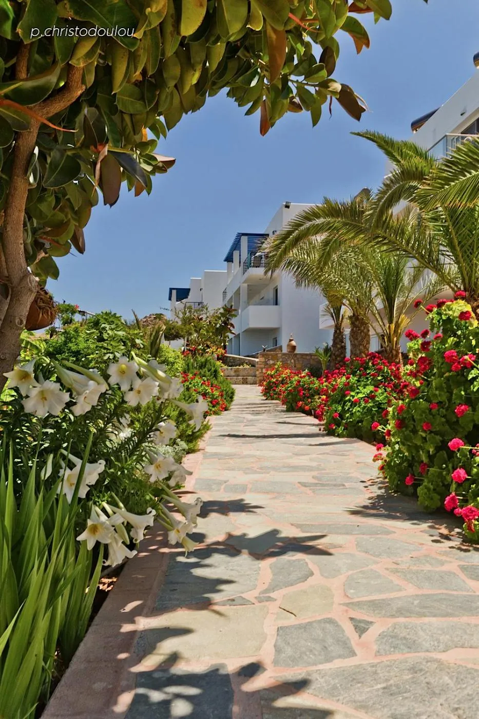 Garden in CHC Sound of the Sea