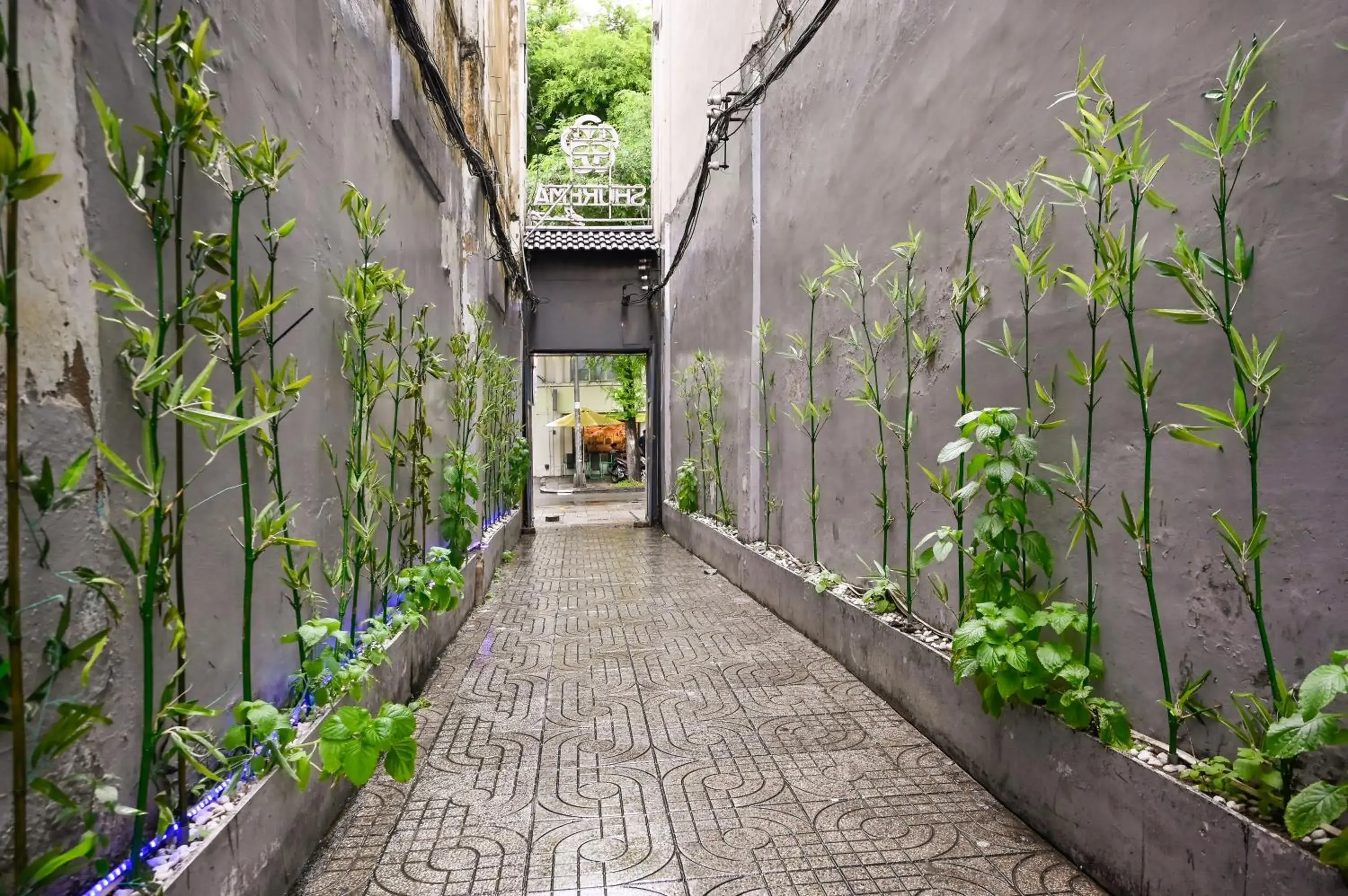 Property building in Ben Thanh Inn - M&A Property building in Ben Thanh Inn - M&A