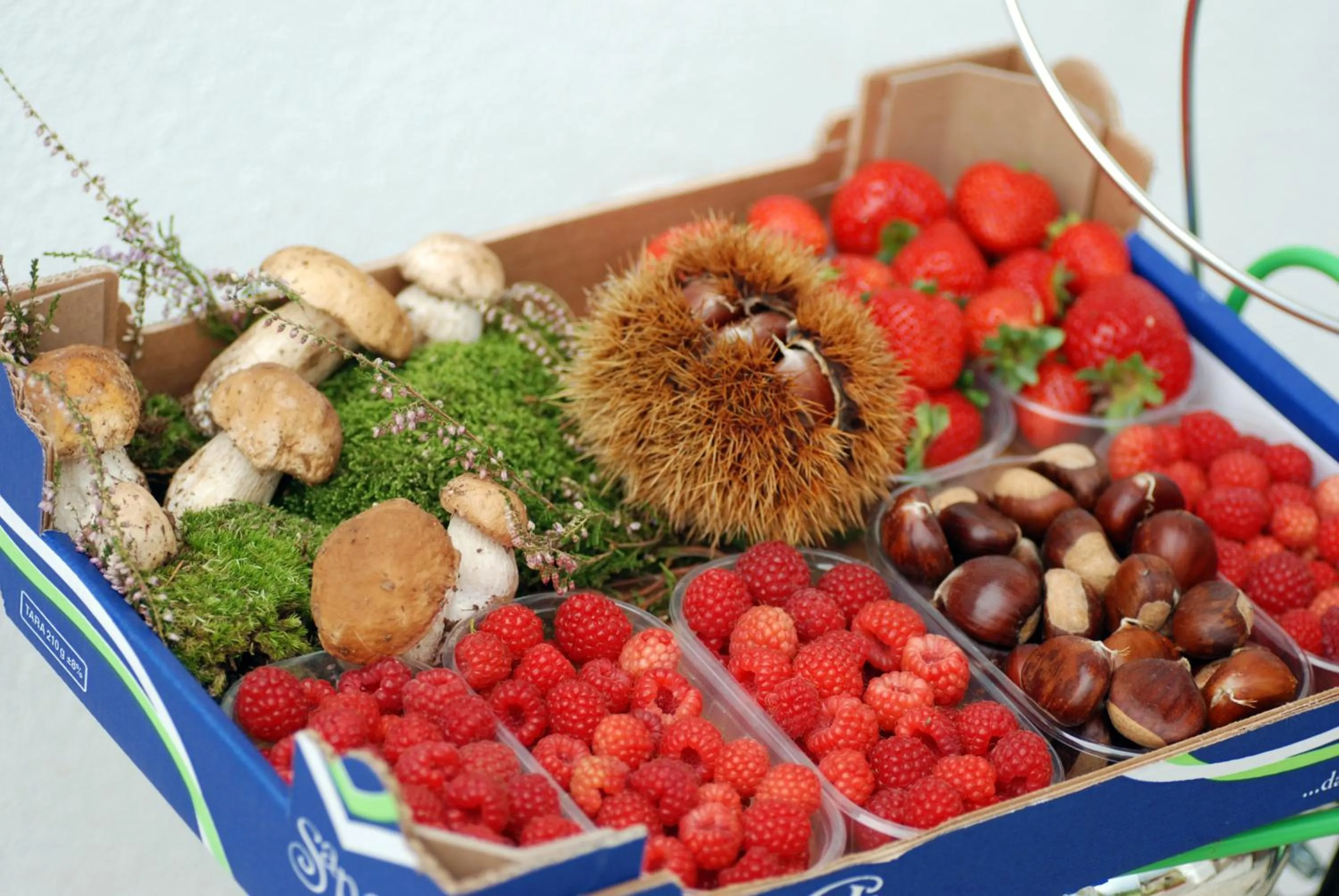 Bed and Breakfast Ca D'Pandin