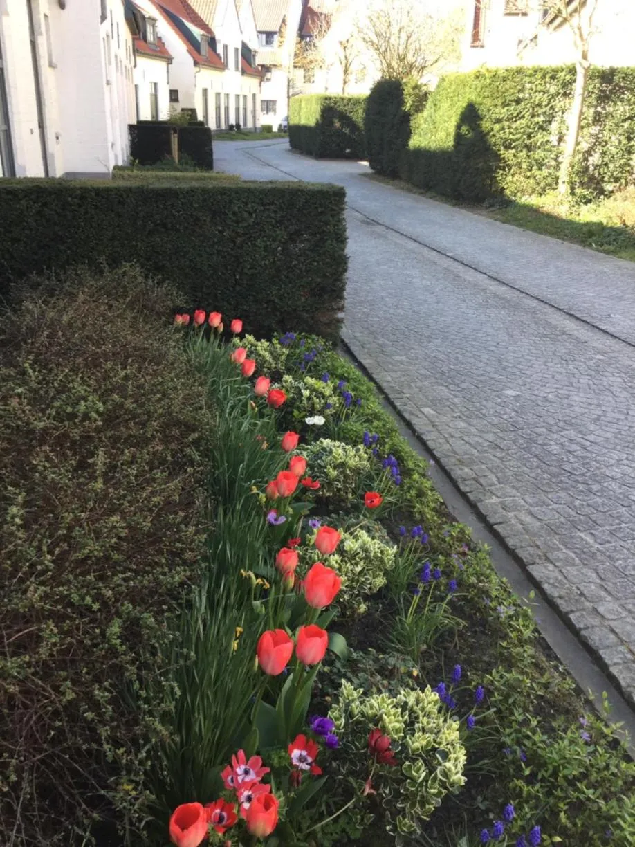 B&B Het Colettientje