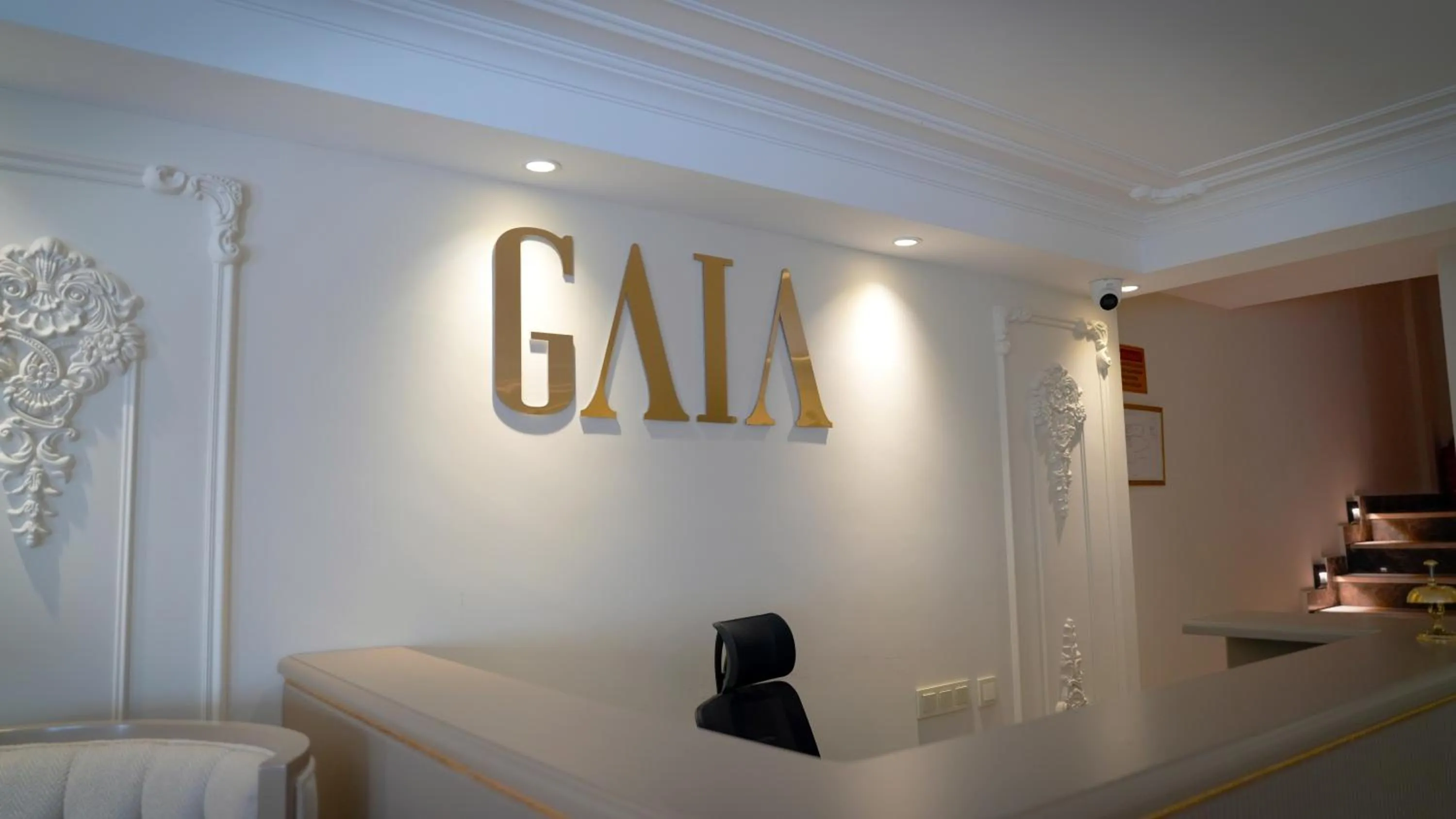 Lobby or reception in Gaia Suites Istanbul