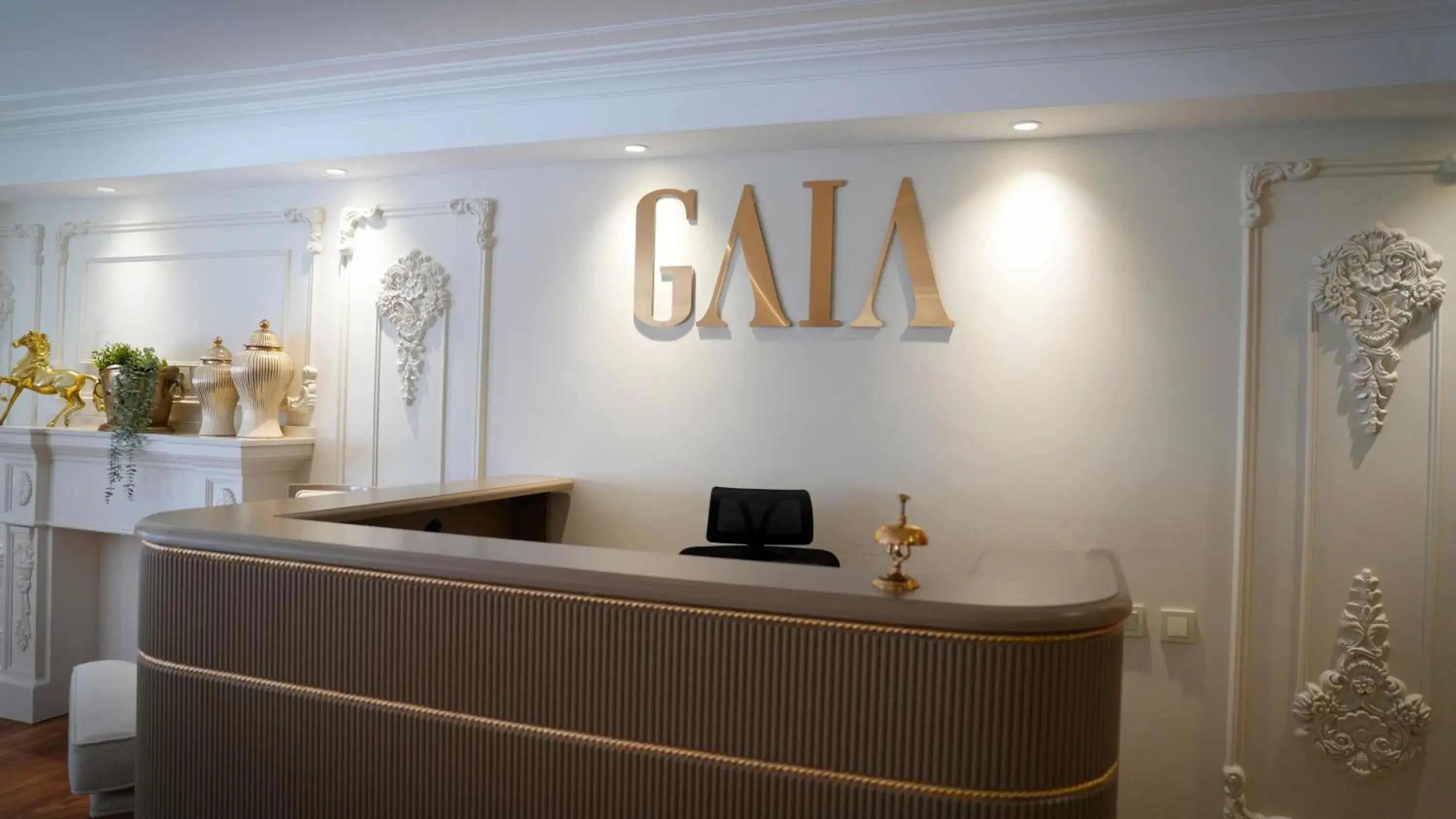 Gaia Suites Istanbul Gaia Suites Istanbul