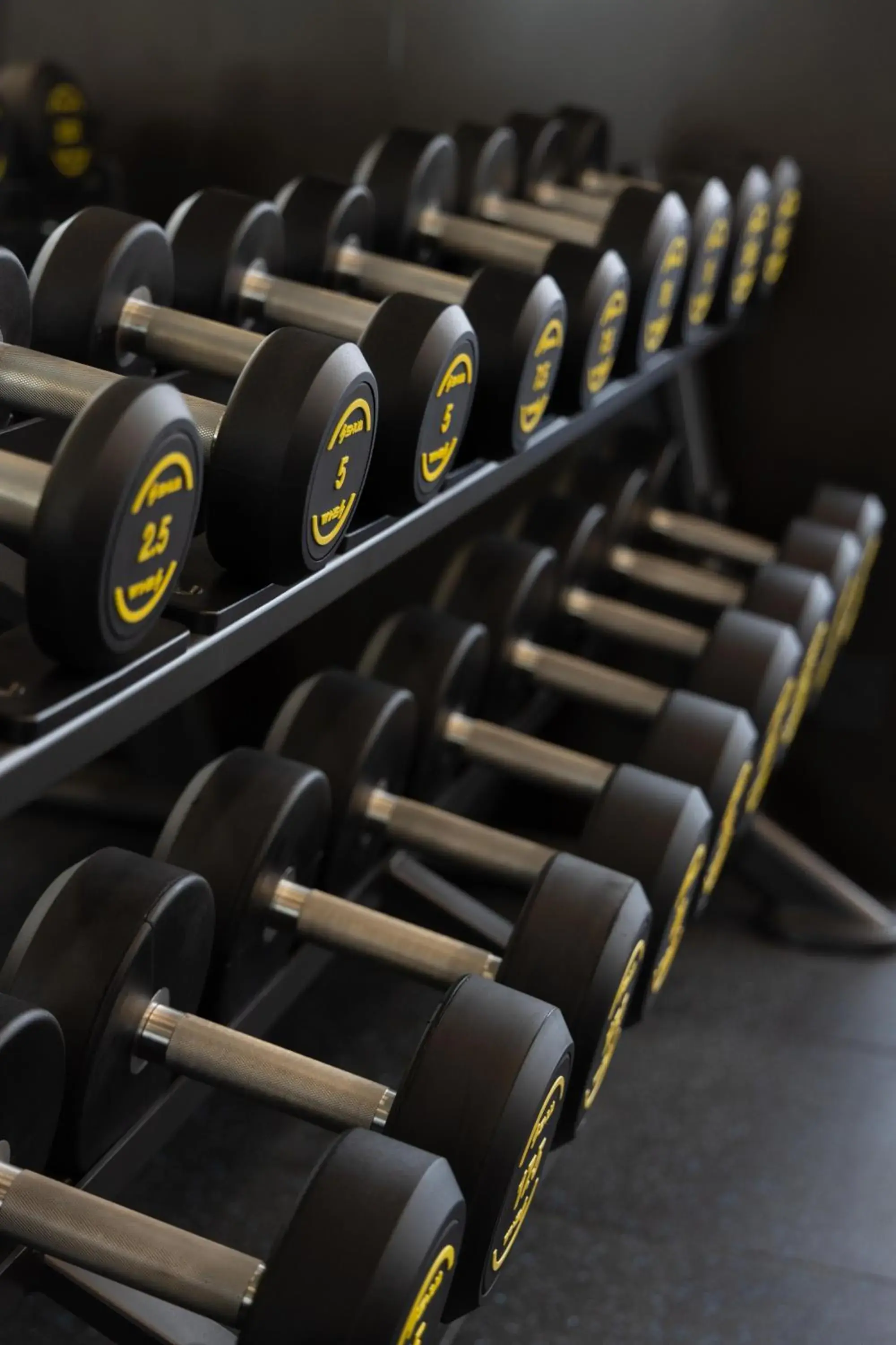 Fitness centre/facilities in Grand Madison Longhua Yujing Shenzhen Fitness centre/facilities in Grand Madison Longhua Yujing Shenzhen