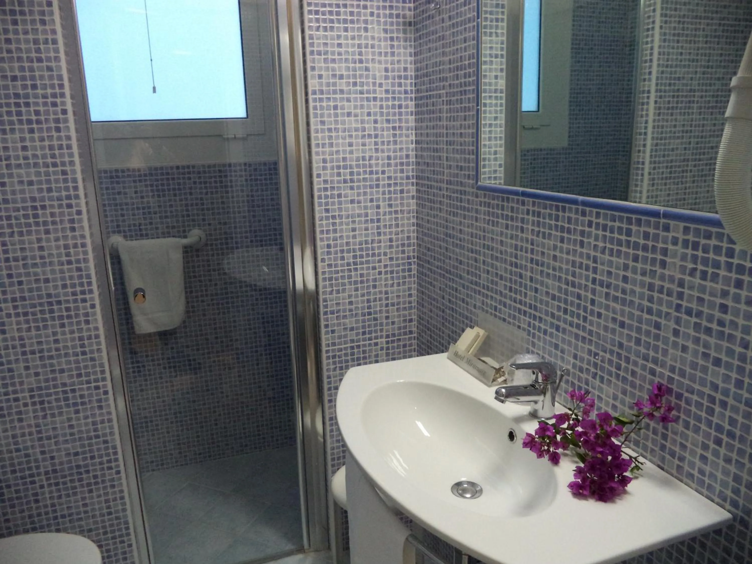 Bathroom in Hotel Miramare