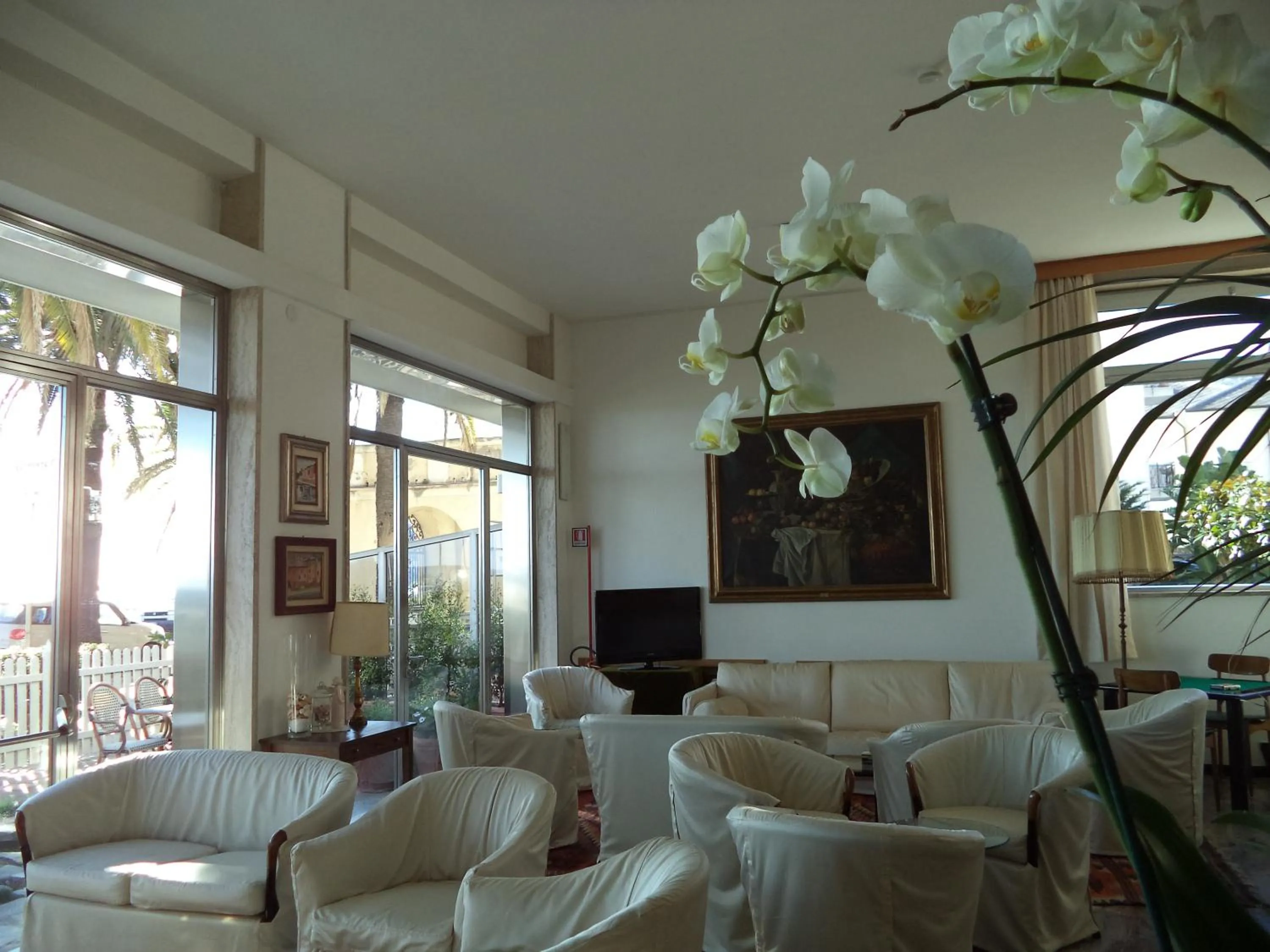 Lounge or bar in Hotel Miramare