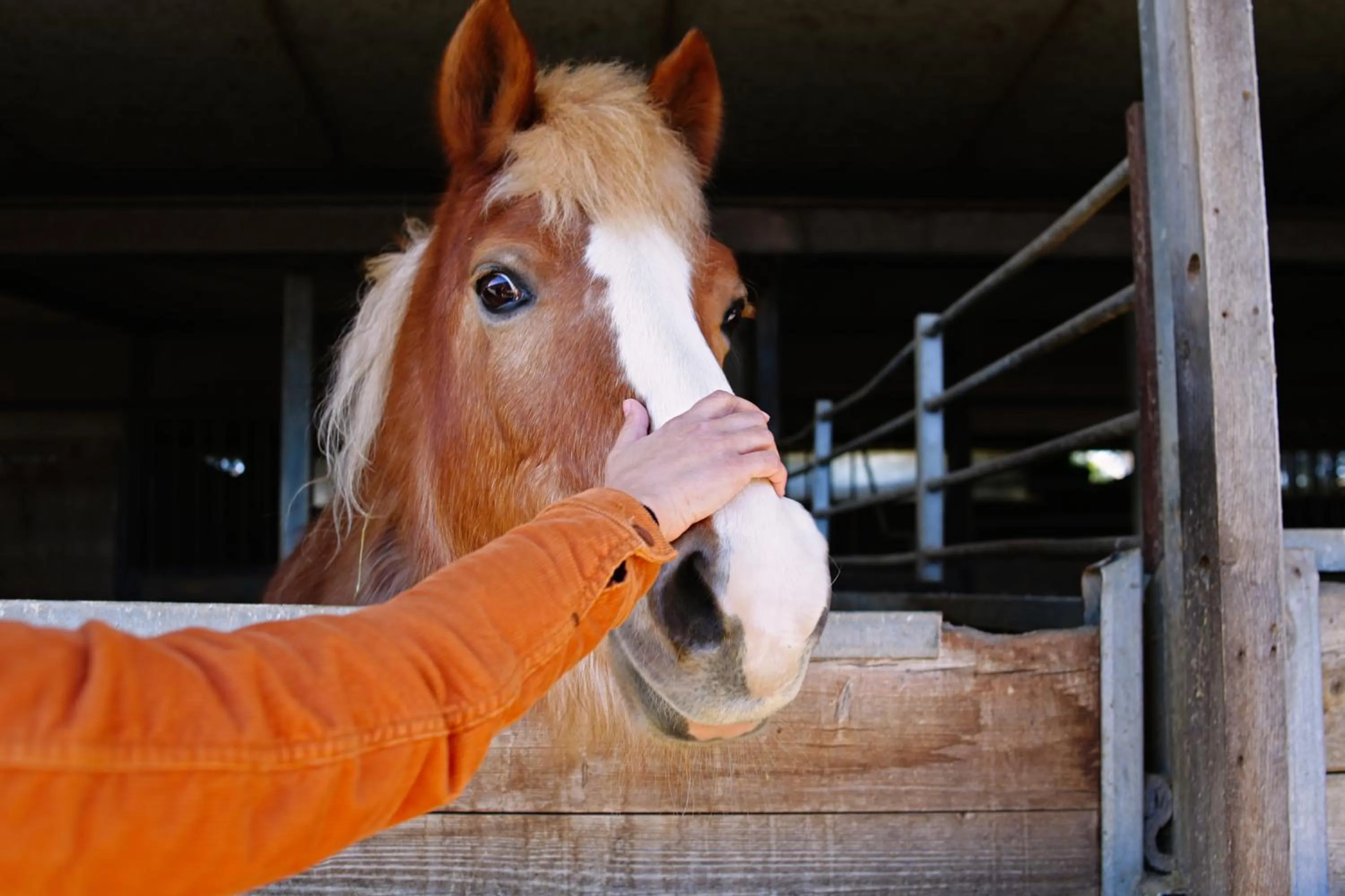 Activities in Due Ponti Village