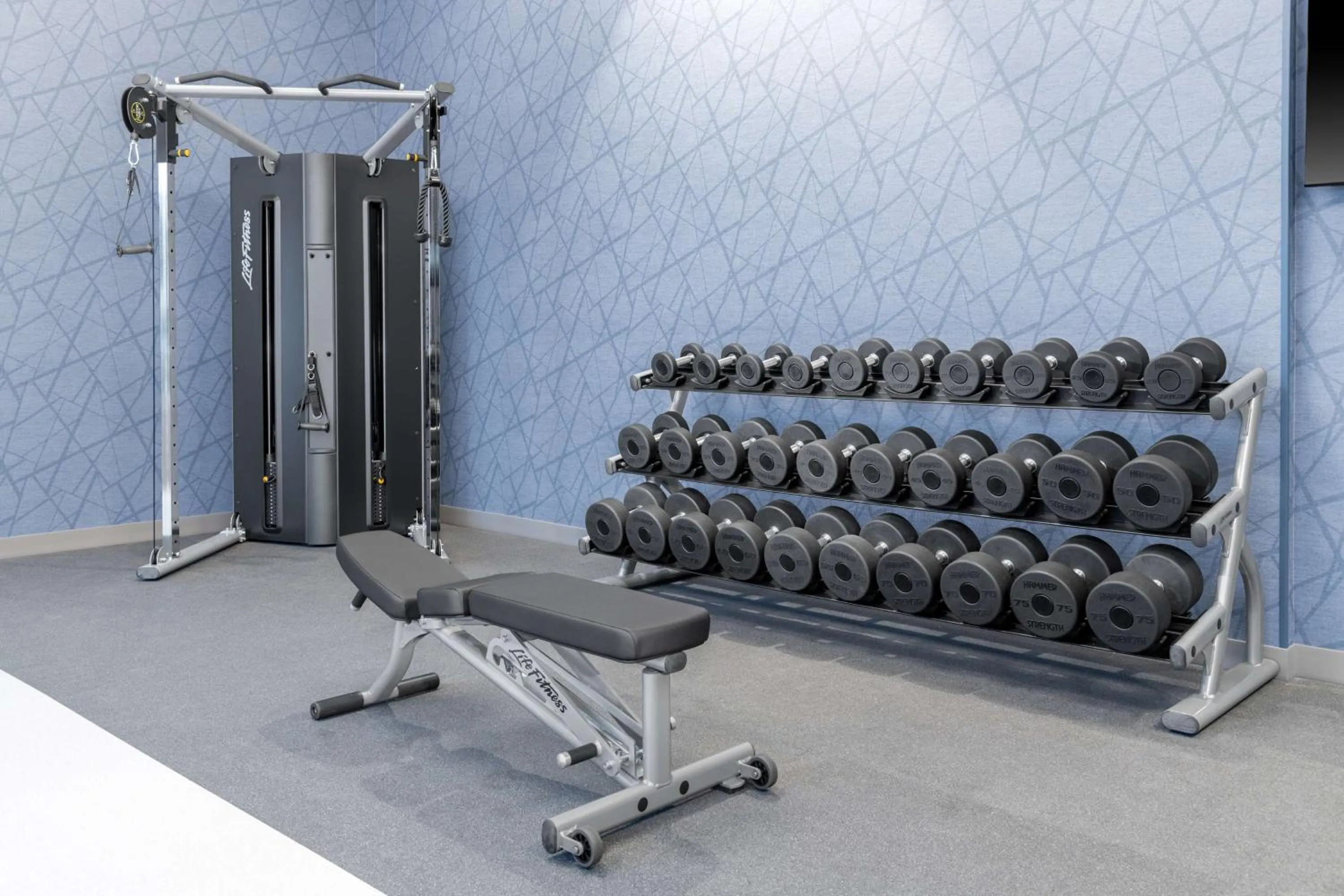 Fitness centre/facilities in Homewood Suites By Hilton Holland