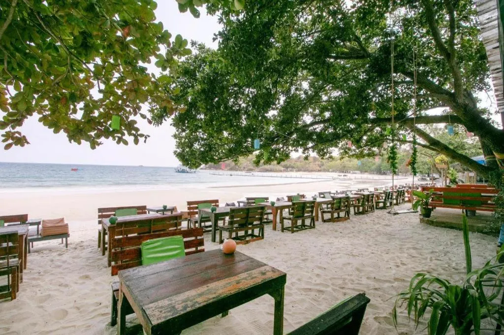 Greenplace-Samed Seahorse