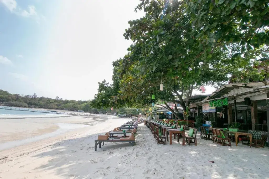 Greenplace-Samed Seahorse Greenplace-Samed Seahorse