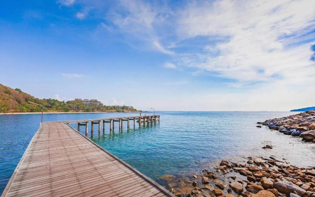 Greenplace-Samed Seahorse