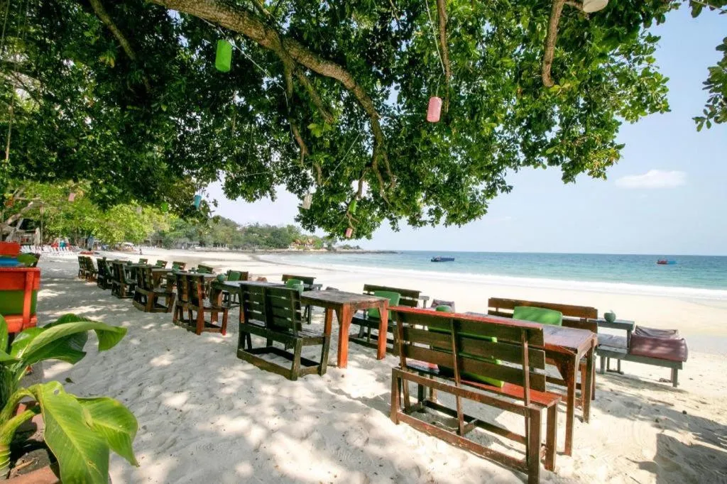 Greenplace-Samed Seahorse