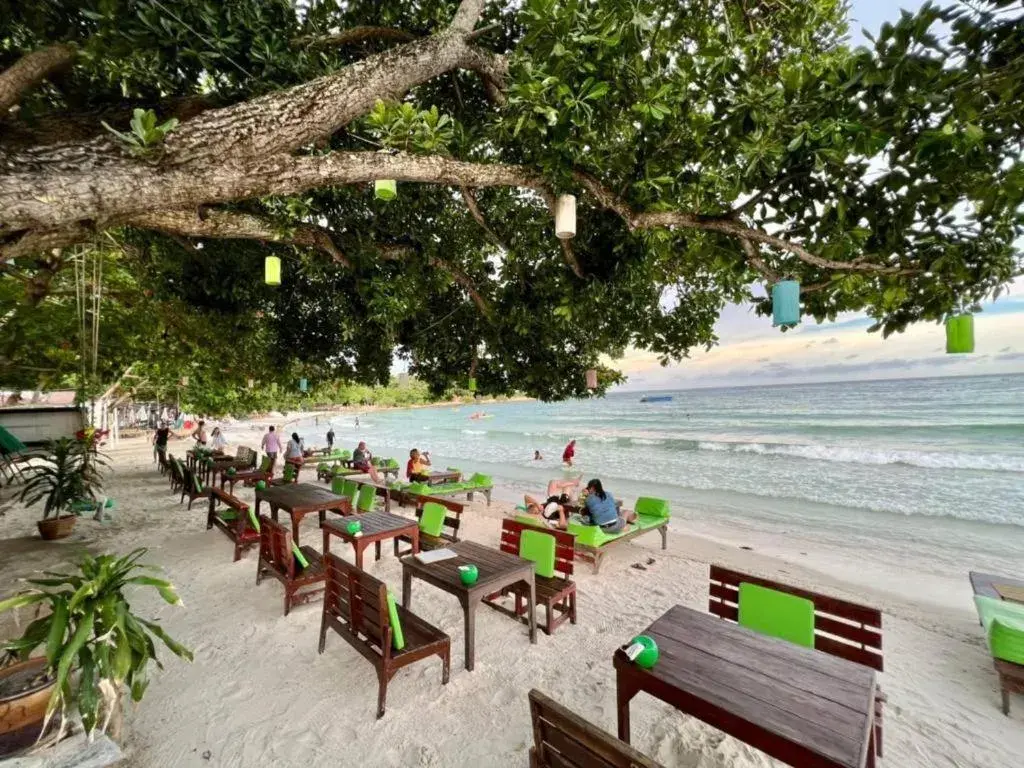 Greenplace-Samed Seahorse Greenplace-Samed Seahorse