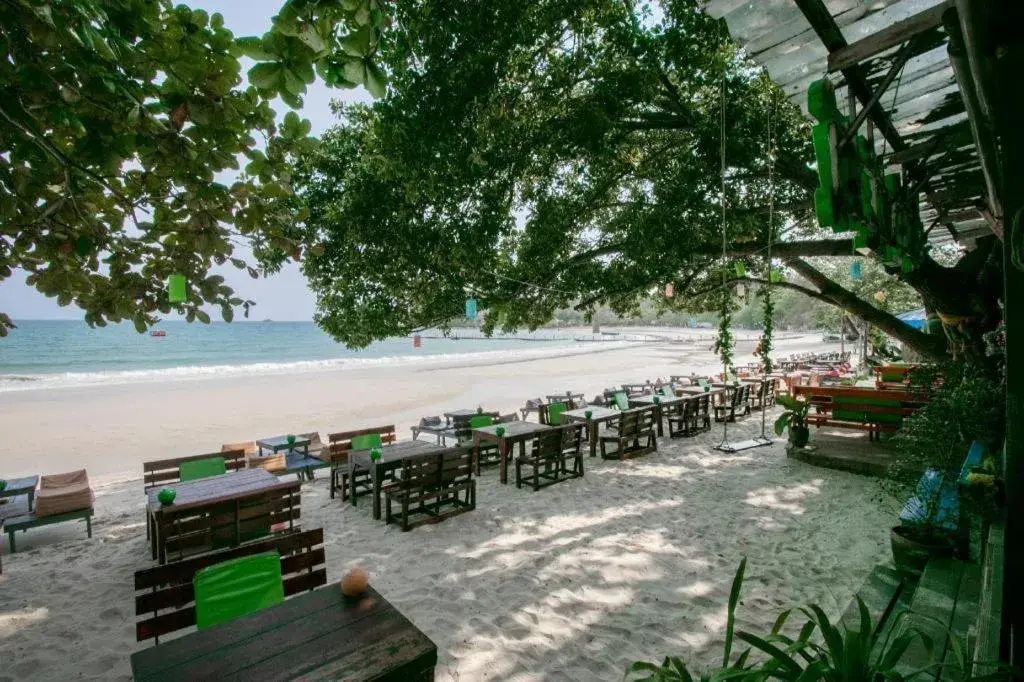 Greenplace-Samed Seahorse Greenplace-Samed Seahorse