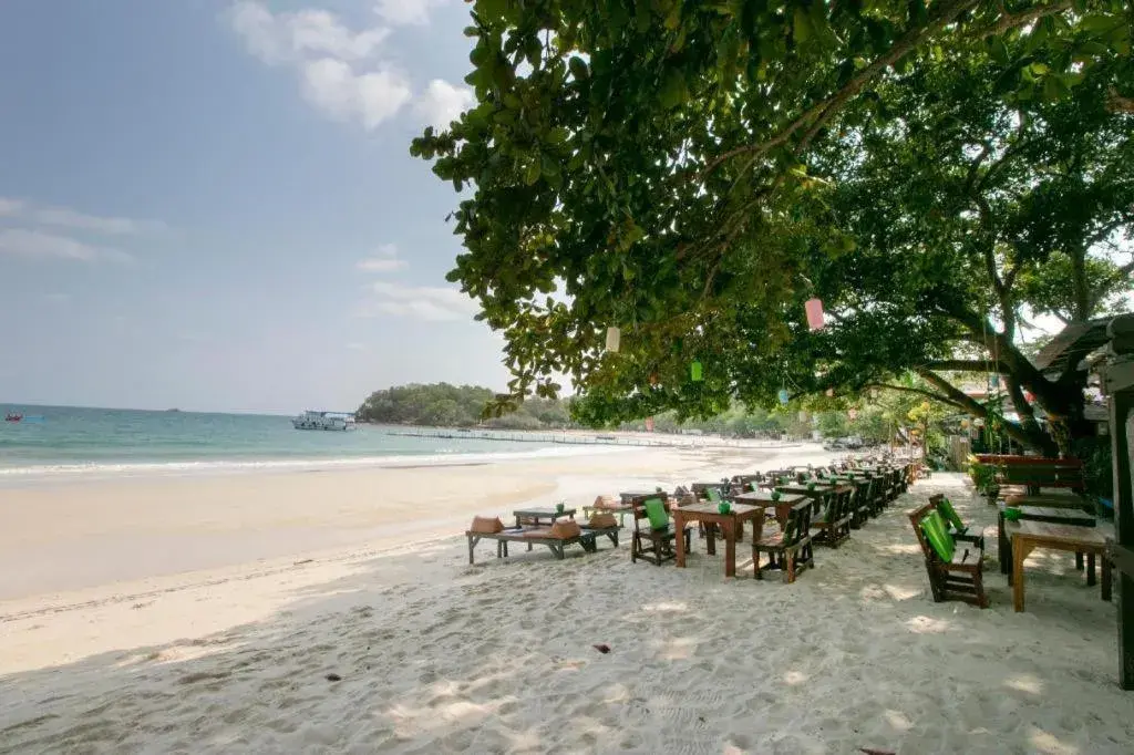 Greenplace-Samed Seahorse Greenplace-Samed Seahorse