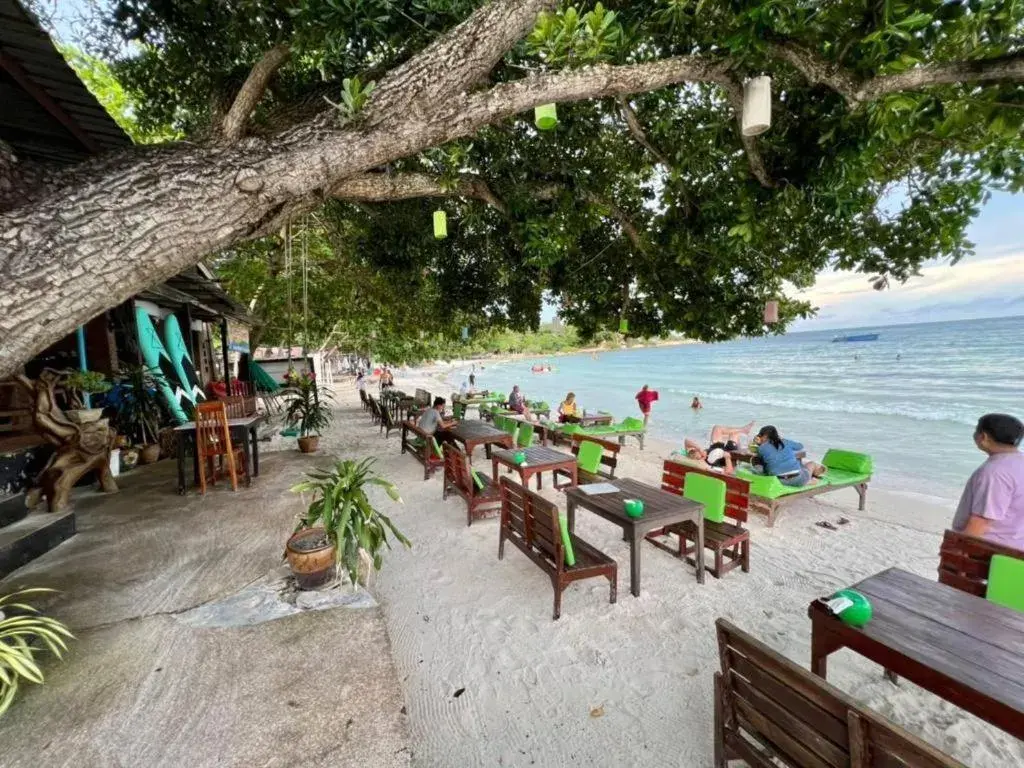 Greenplace-Samed Seahorse Greenplace-Samed Seahorse