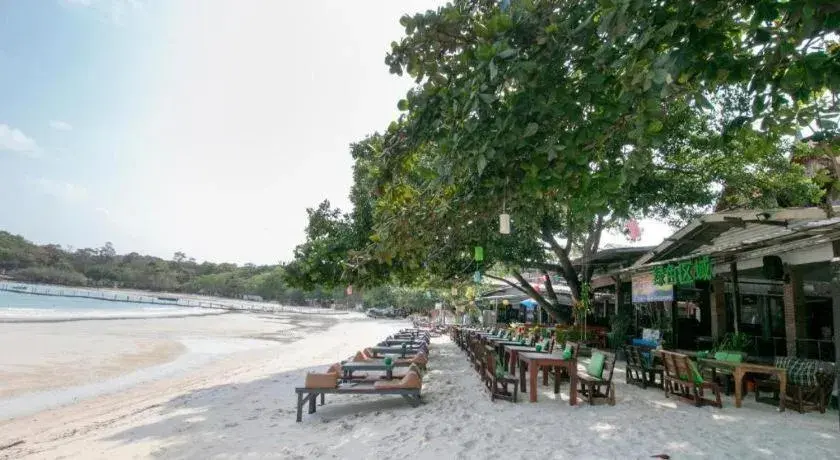 Greenplace-Samed Seahorse Greenplace-Samed Seahorse