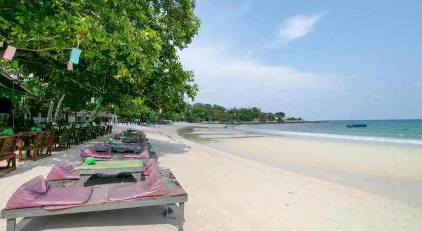 Greenplace-Samed Seahorse