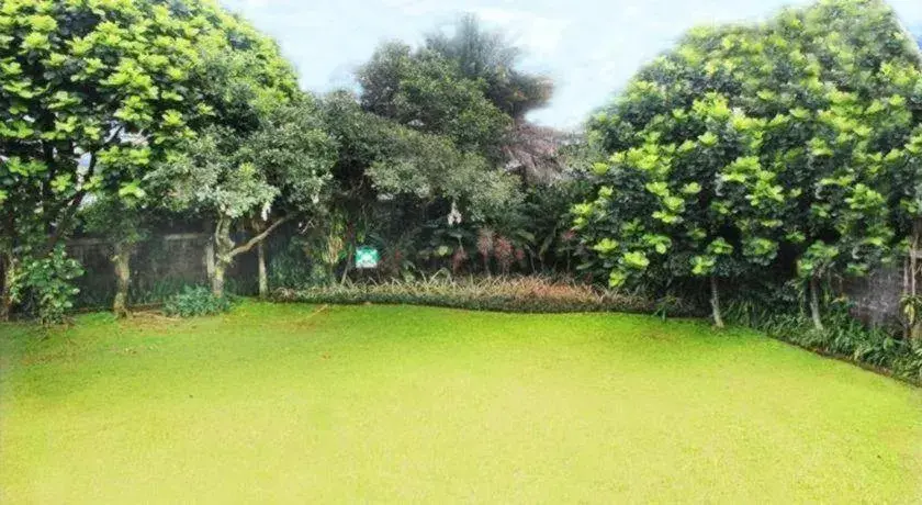 Papyrus Tropical Hotel Papyrus Tropical Hotel