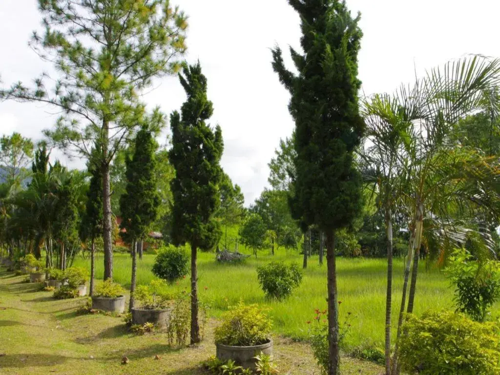 Phucome Resort Phucome Resort