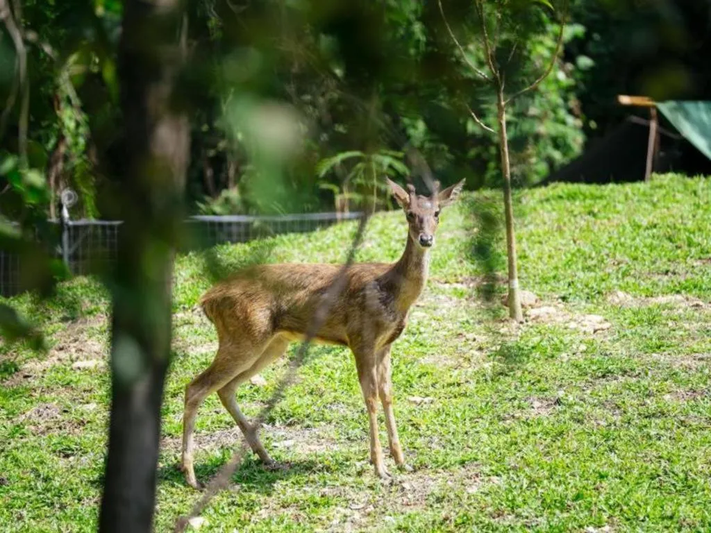 Baan Souchada Resort & Spa