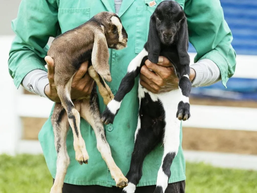 Baan Souchada Resort & Spa