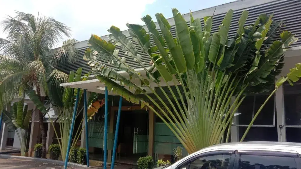 Hotel Senen Indah Syariah Hotel Senen Indah Syariah