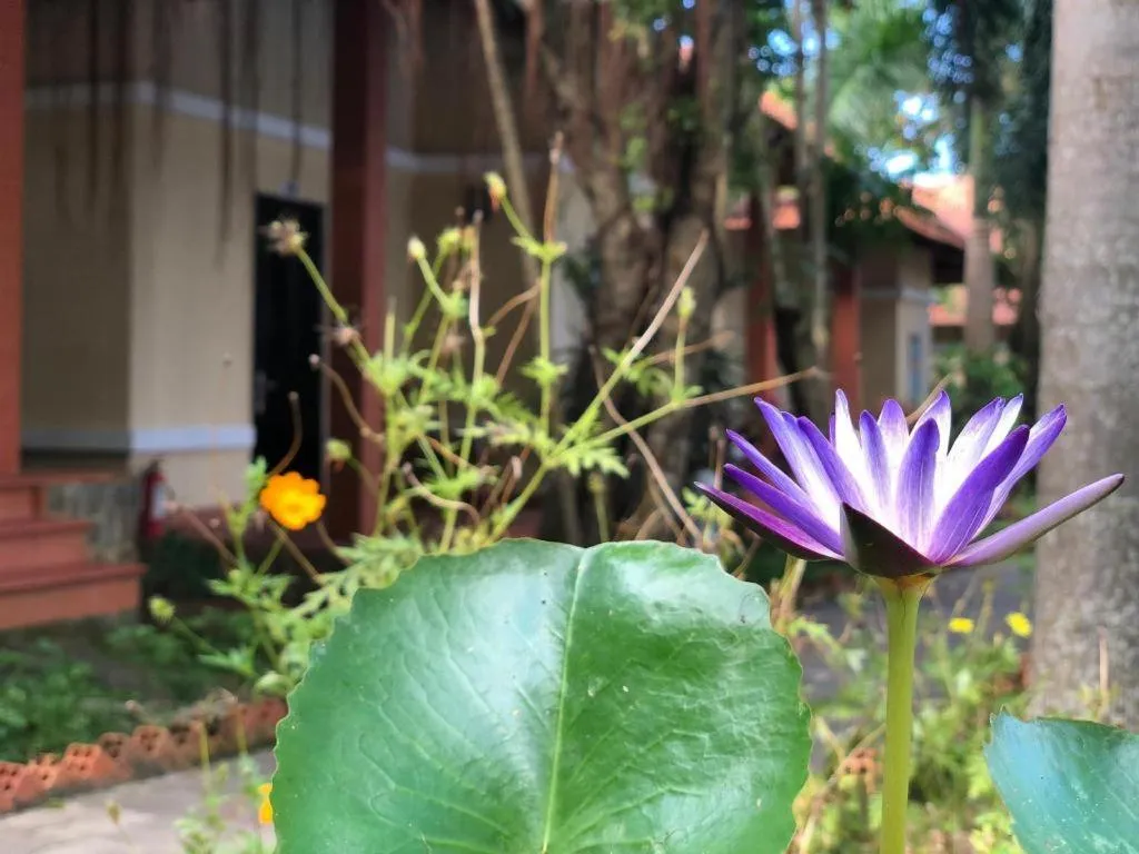 Castaways Resort Phu Quoc