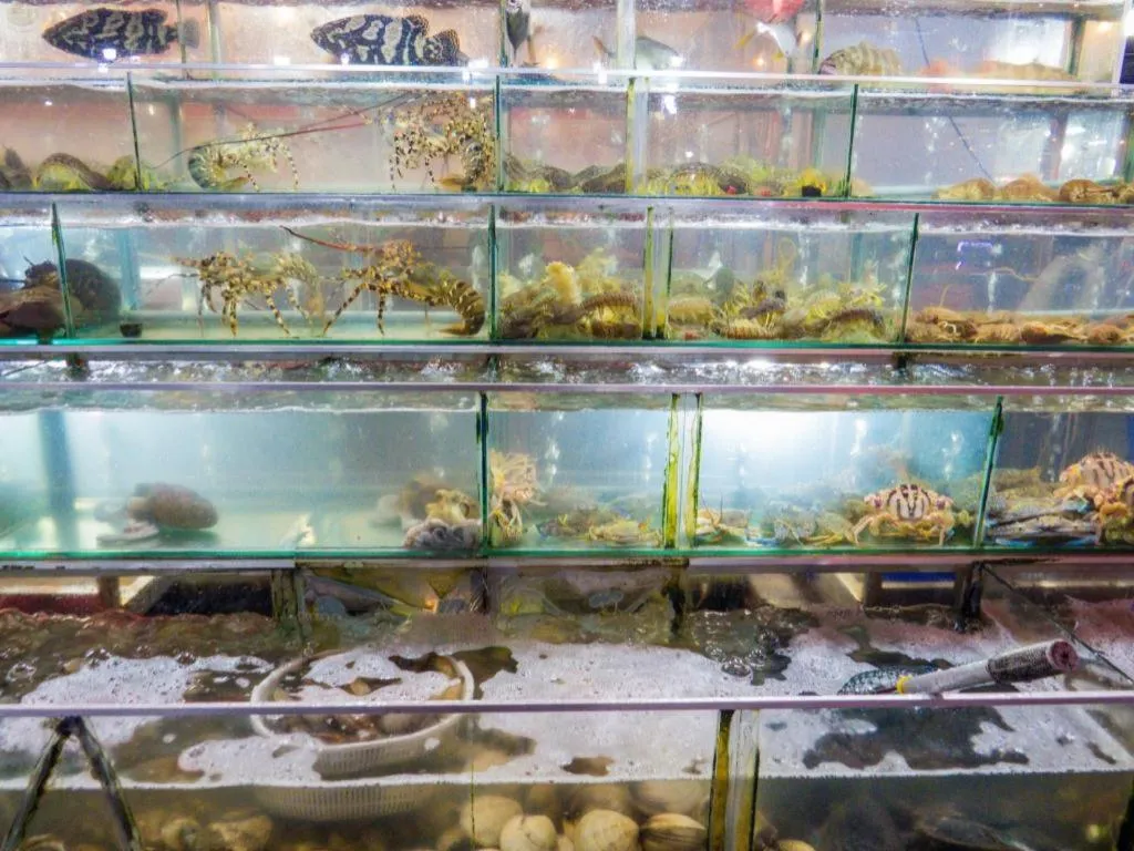 Castaways Resort Phu Quoc