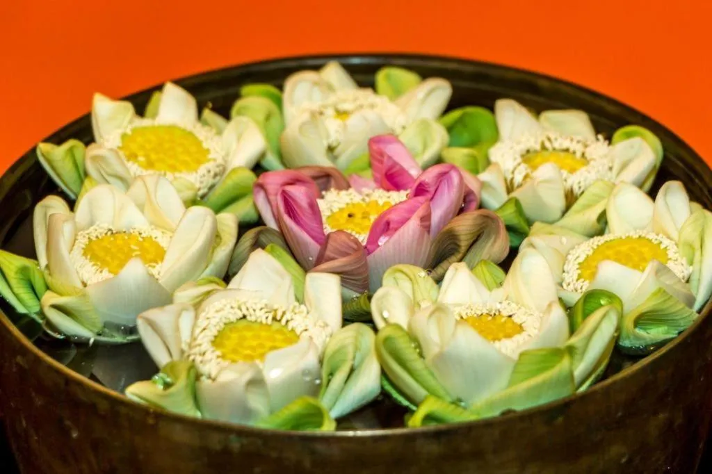 The Grand Cyclo Boutique Suite & Spa